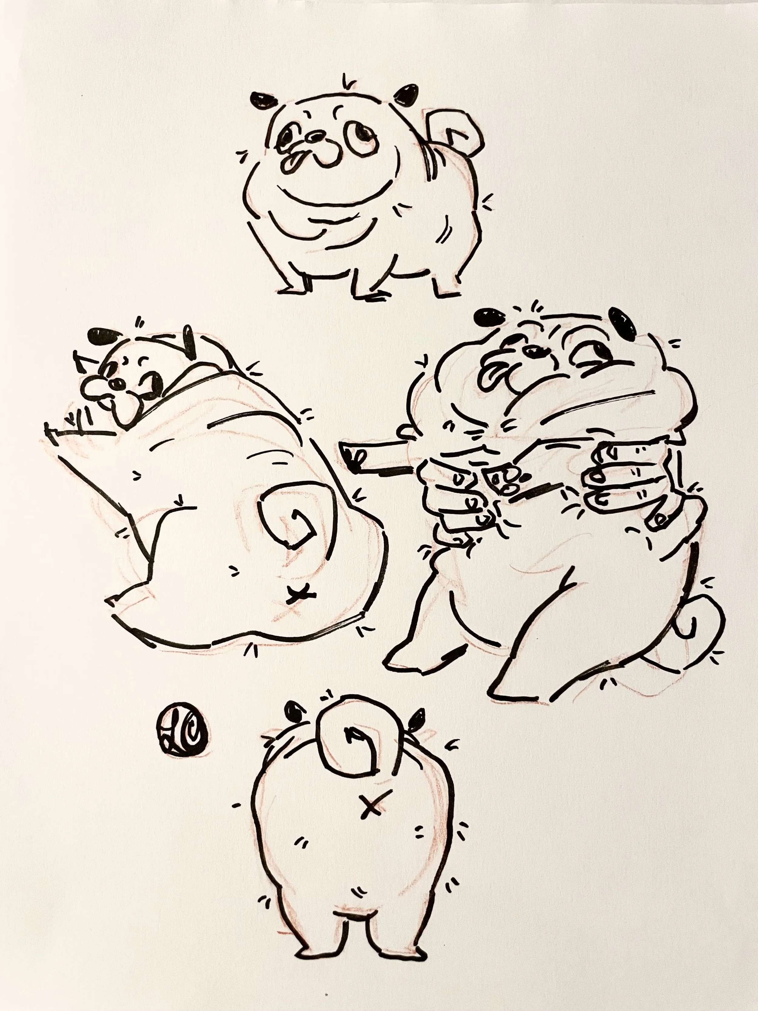 Pug Pose Commission (2024)