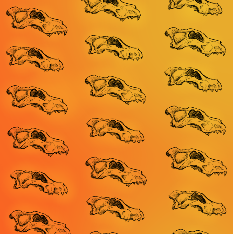 Dire Wolf Skull Wall Art - La Brea Tar Pits (2022)