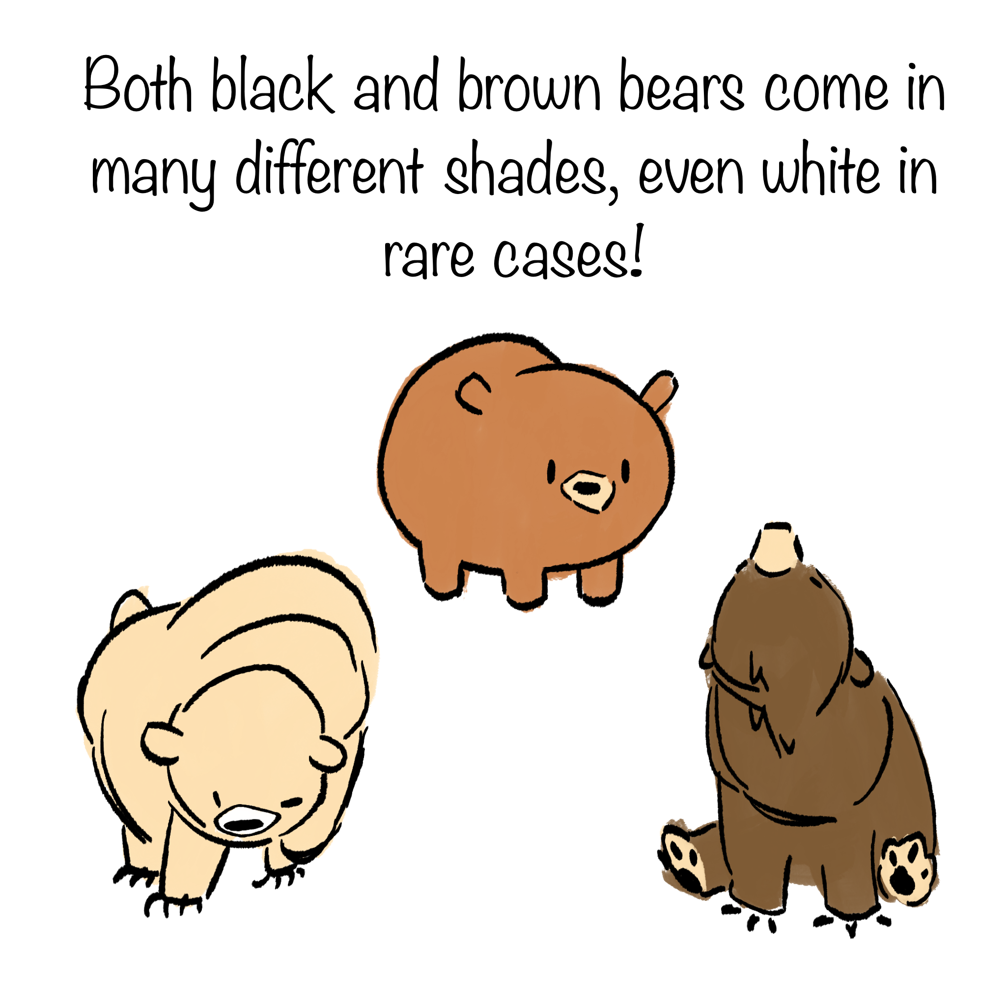 BearComic_010.png