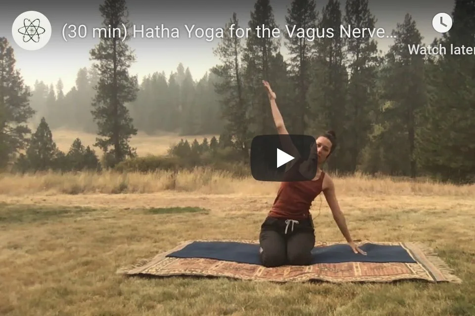 (30 min YOGA) Gentle Hatha + Meditation for Vagal Nerve Tone w/ Anne Baggenstoss