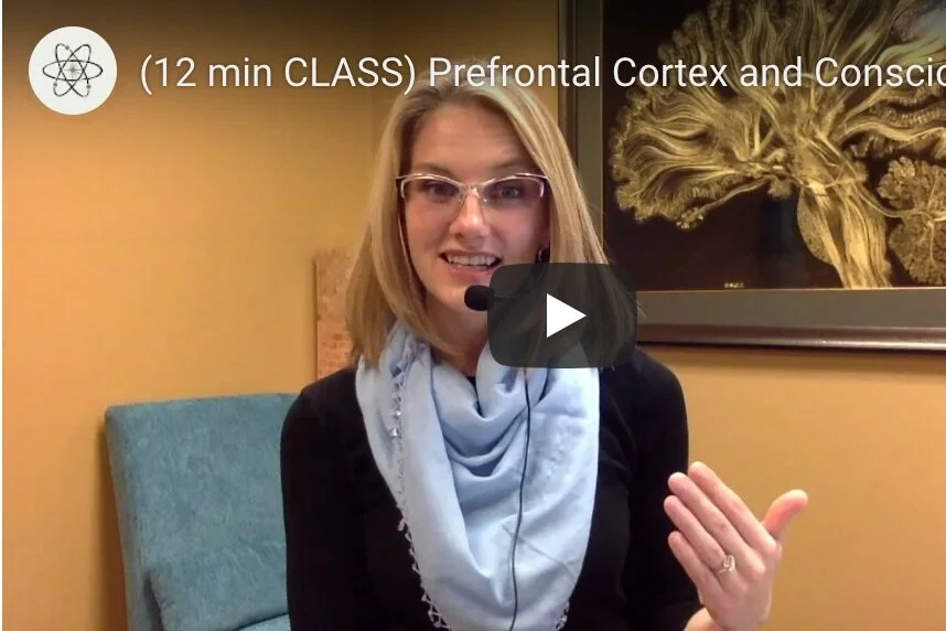 (12 min CLASS)  Prefrontal Cortex and Consciousness w/ Sophia Bouwens