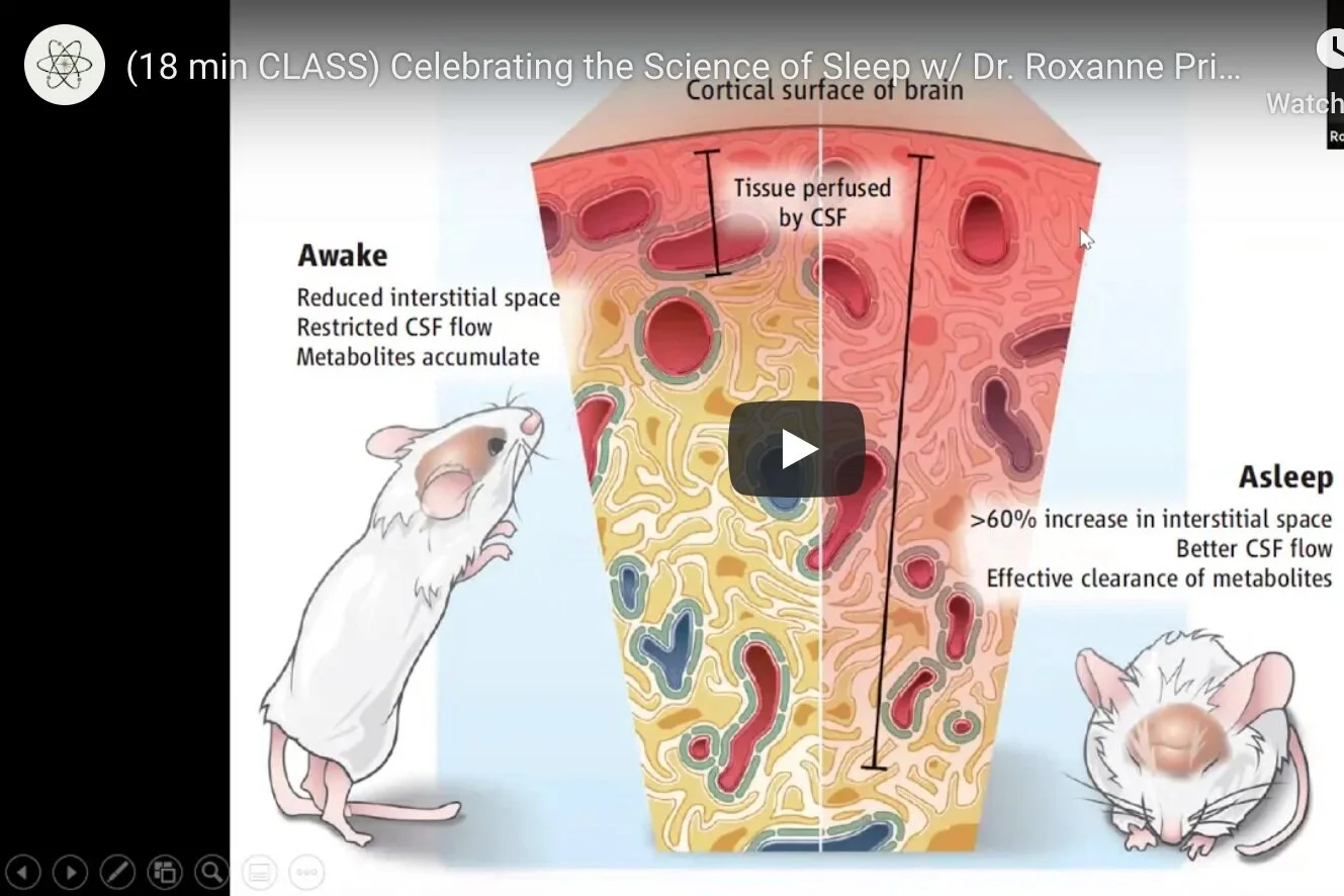 (18 min CLASS) Celebrating the Science of Sleep w/ Roxanne Prichard