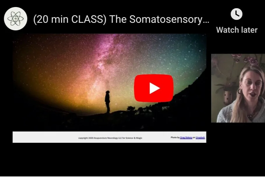 (20 min CLASS) The Connection Between our Brain, Body, &amp; the Space Around Us w/ Ayla Wolf