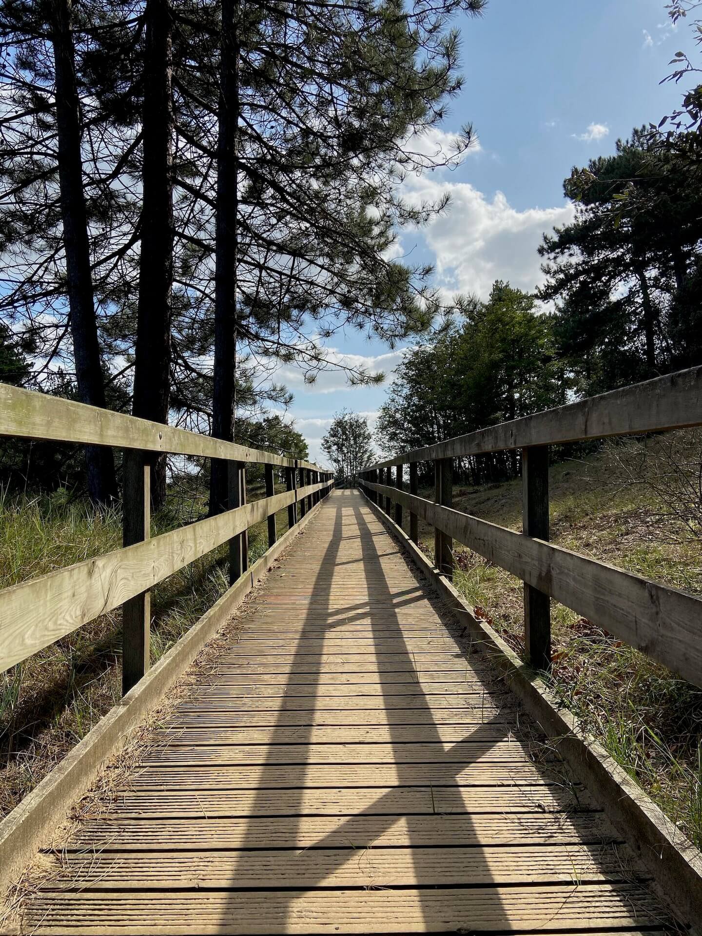 the-normans-norfolk-holiday-house-gallery-011.jpeg