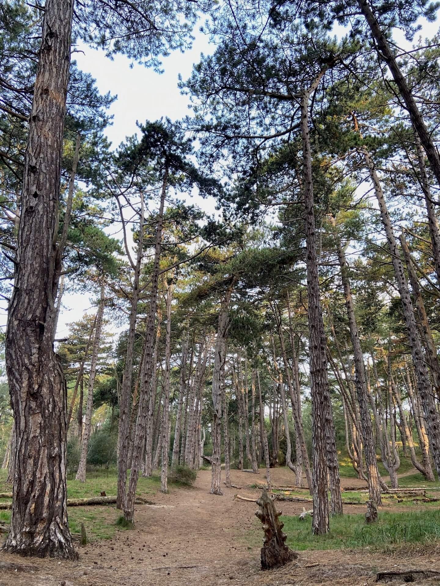 the-normans-norfolk-holiday-house-gallery-05.jpeg