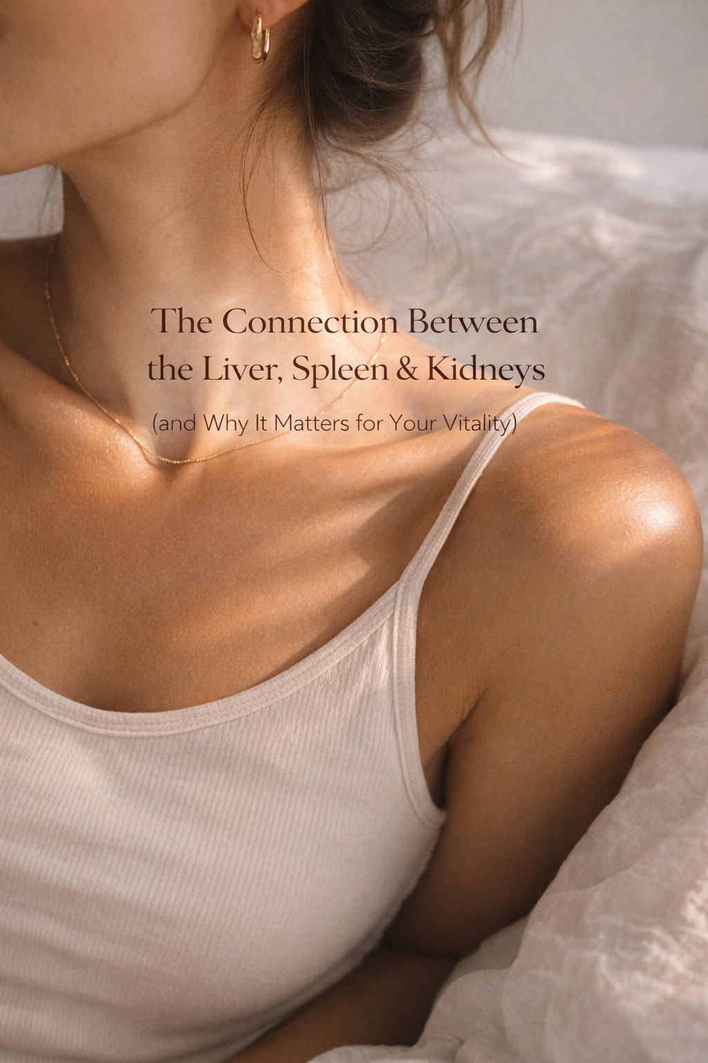 The Connection Between the Liver, Spleen &amp; Kidneys