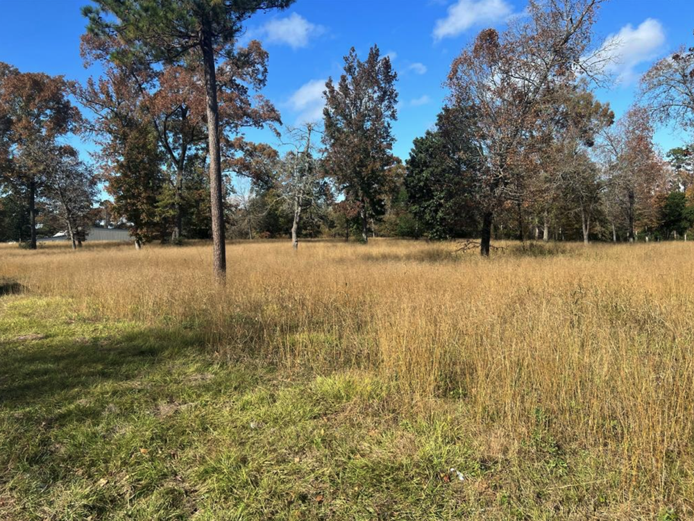 Commercial — Eastex Real Estate Brokerage