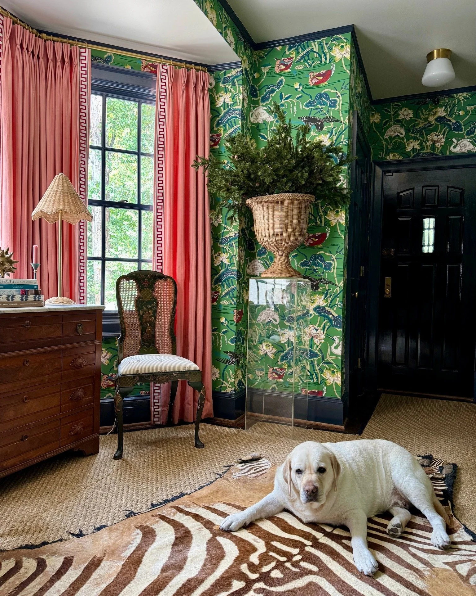 This pup knows how to lounge in style in my home studio entryway! 
&bull;
&bull;
&bull;
&bull;
#whitneydurhaminteriors #atlantainteriors #atlantainteriordesigner #edesign #edesigner #interiordesign #interiors #instadesign #interiorstyle #atlantainter