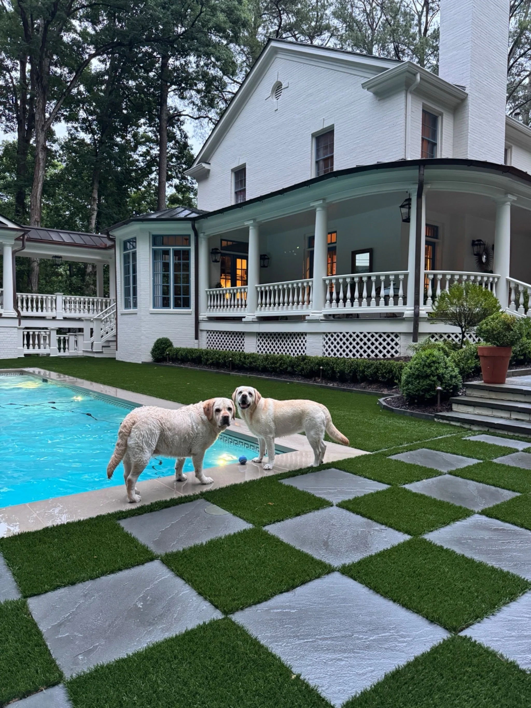 Pool party for two! 
🐾🤍
&bull;
&bull;
&bull;
&bull;
#whitneydurhaminteriors #atlantainteriors#atlantainteriordesigner #edesign #interiordesign