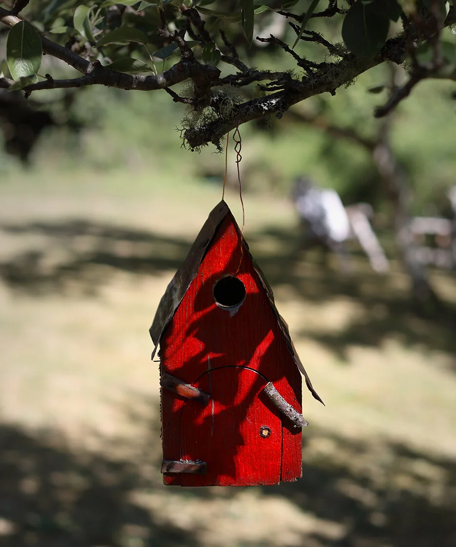 Stories of Arrival: Refugee &amp; Immigrant Youth Voices Poetry Project