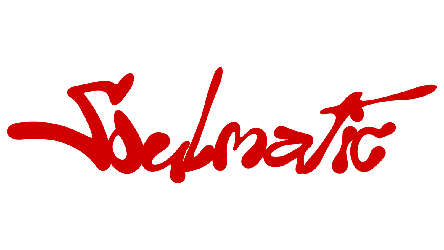 SOULMATIC