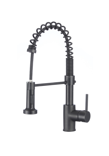 Kitchen Faucet with Pull-down Spout Matt Black