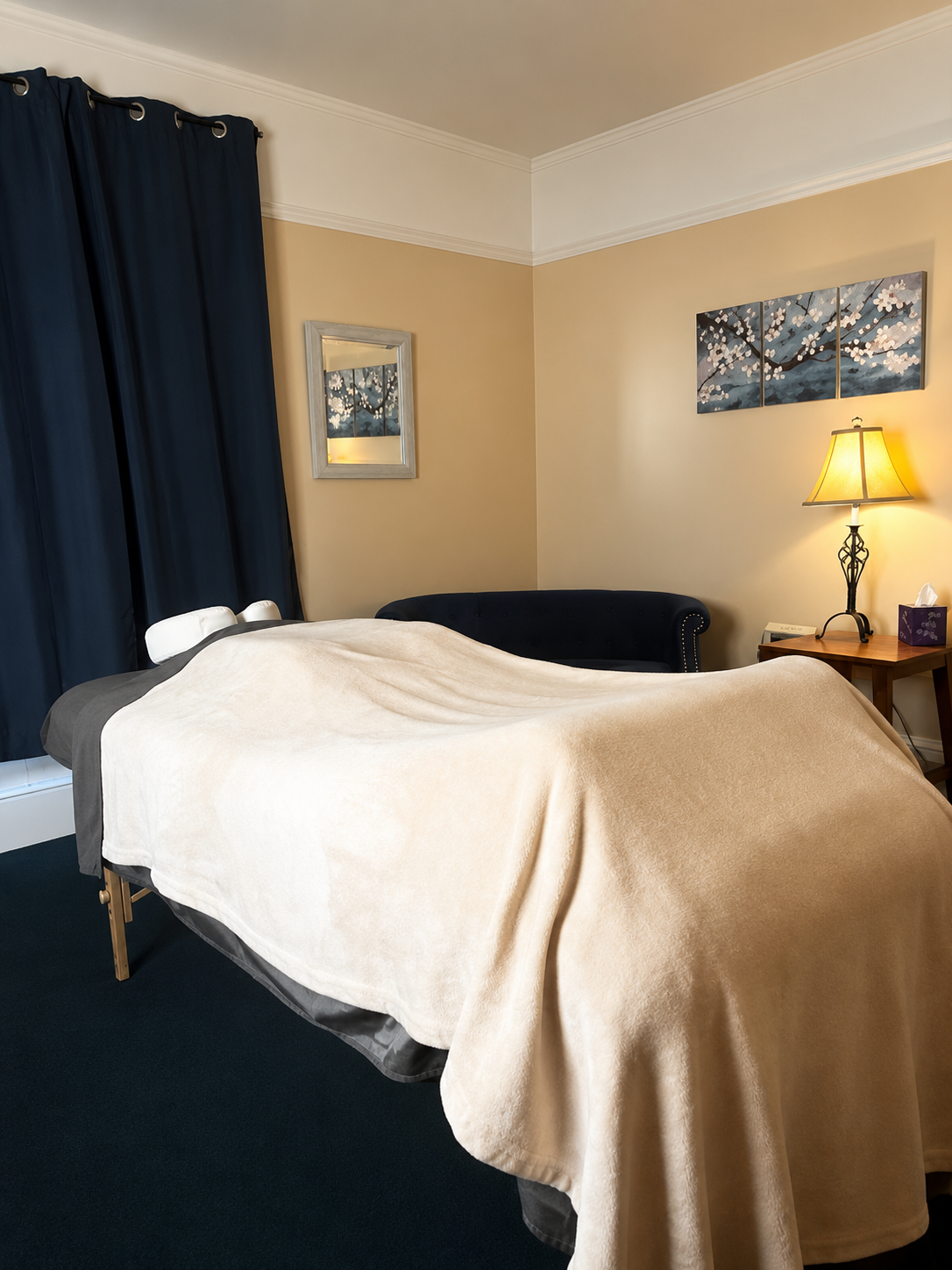 Alacrity Massage and Wellness Prenatal Massage.png