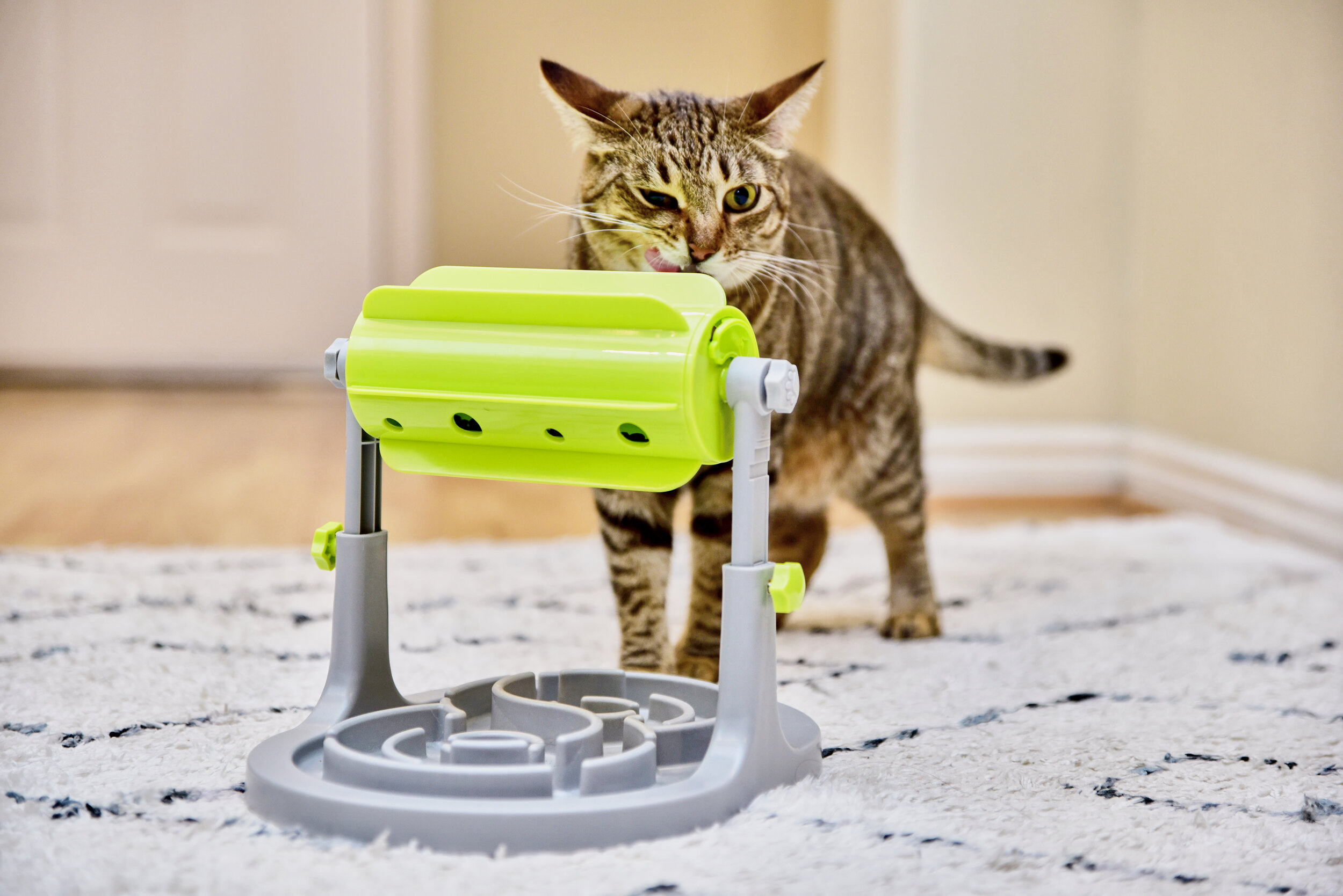 Cat Food Puzzles — Junipurr Studio