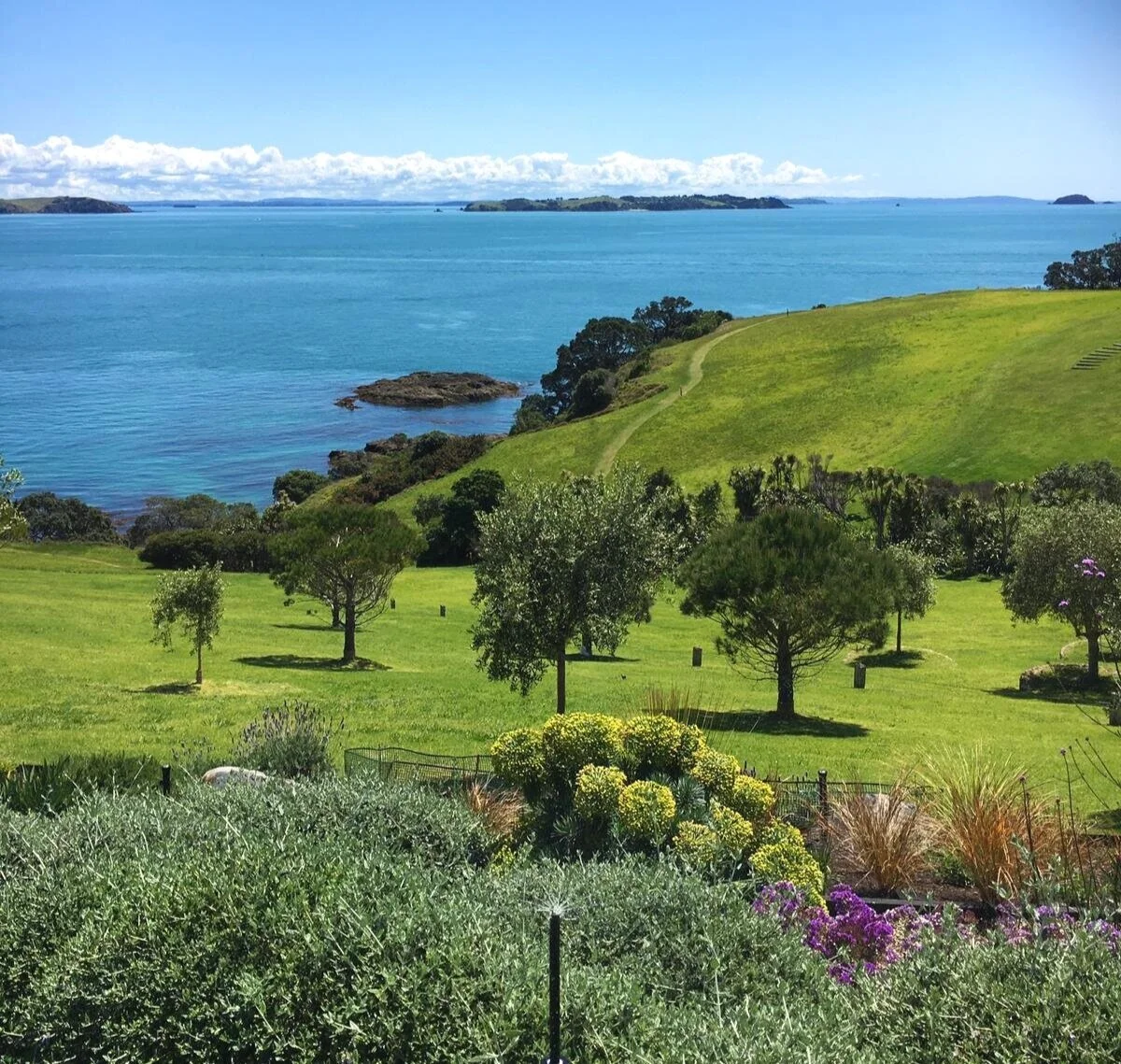 Hydroscape Irrigation Auckland Residential and Commercial