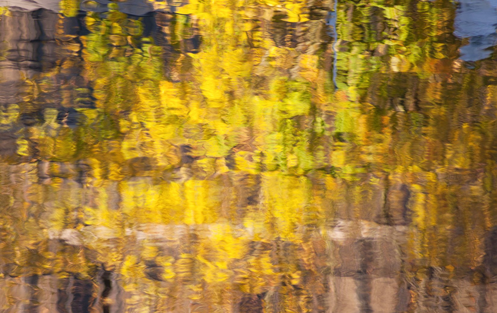 Bayshore Autumn, Vancouver BC, 2014