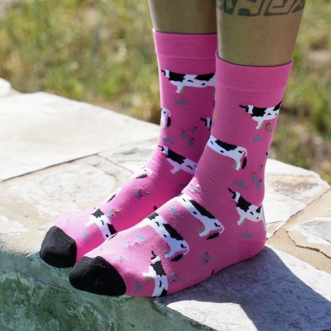 COW IN PINK