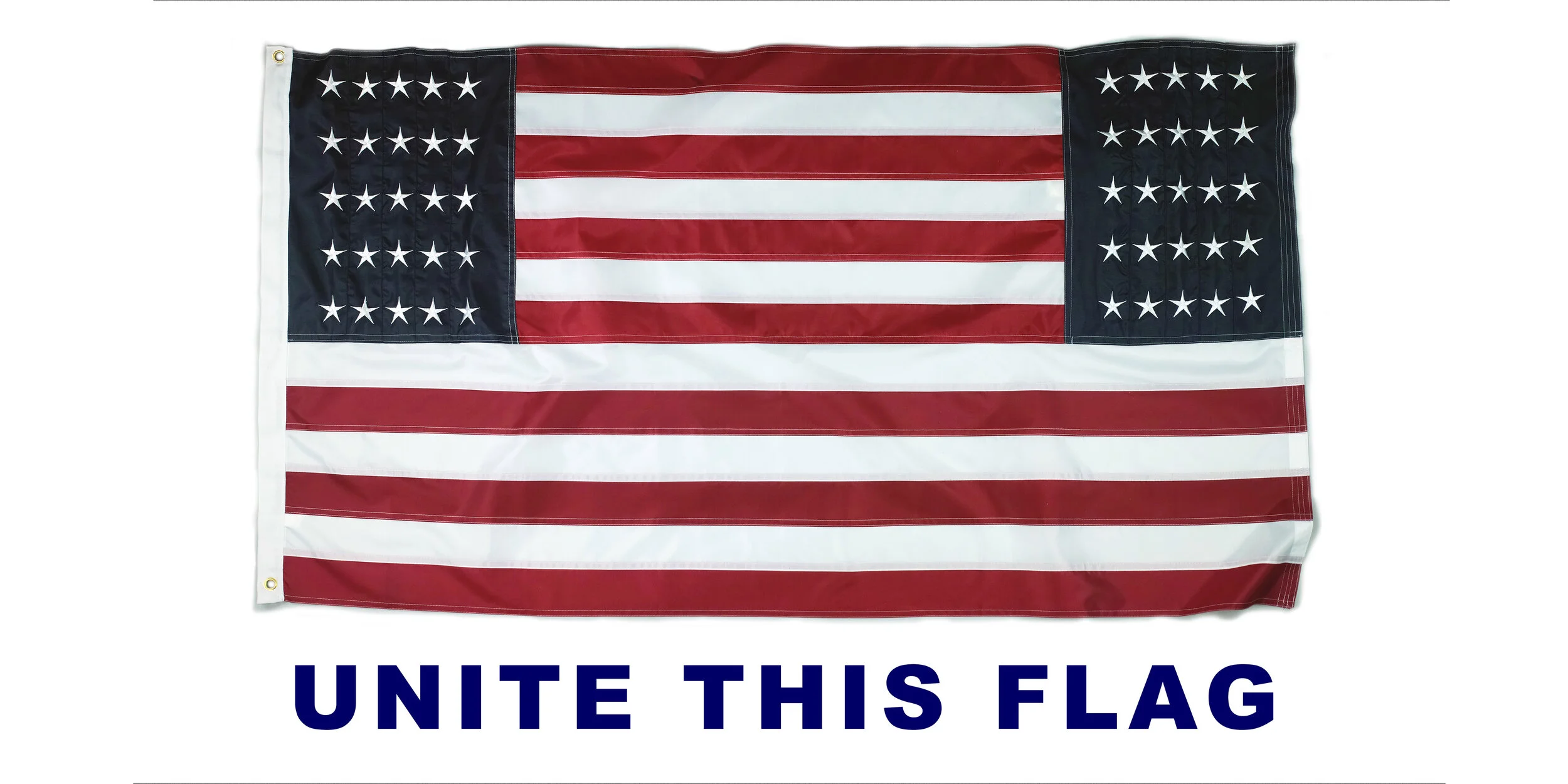 MC_Unitethisflag NYC_2020 copy.jpg