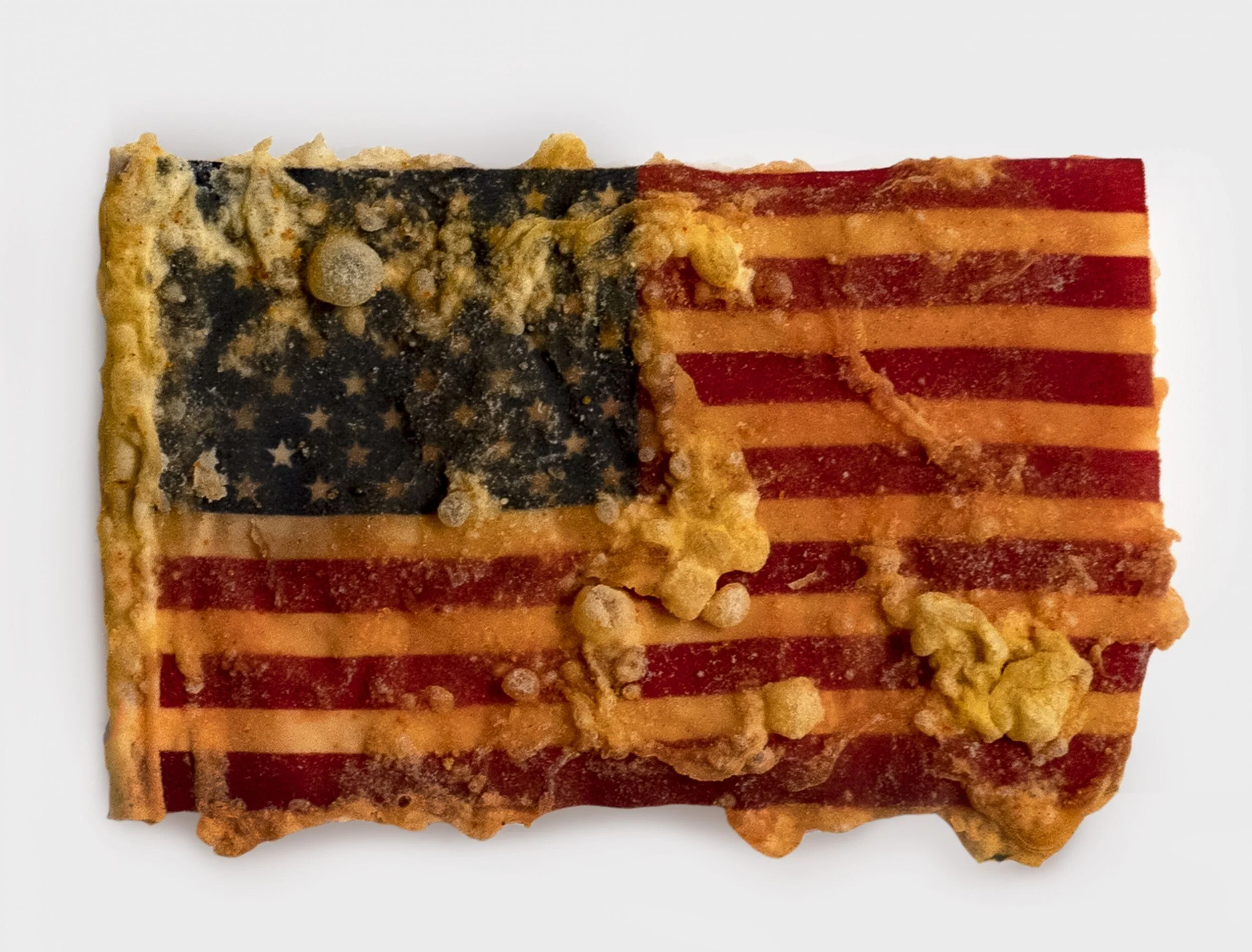 Kiyan Williams, How Do You Properly Fry An American Flag (Study 1), 2020, nylon flag flown over the U.S. Capitol Building deep-fried in oil, flour, salt, and paprika on vellum, flag dimensions: 4 x 6 inches (10.2 x 15.2 cm), Image courtesy the artis…