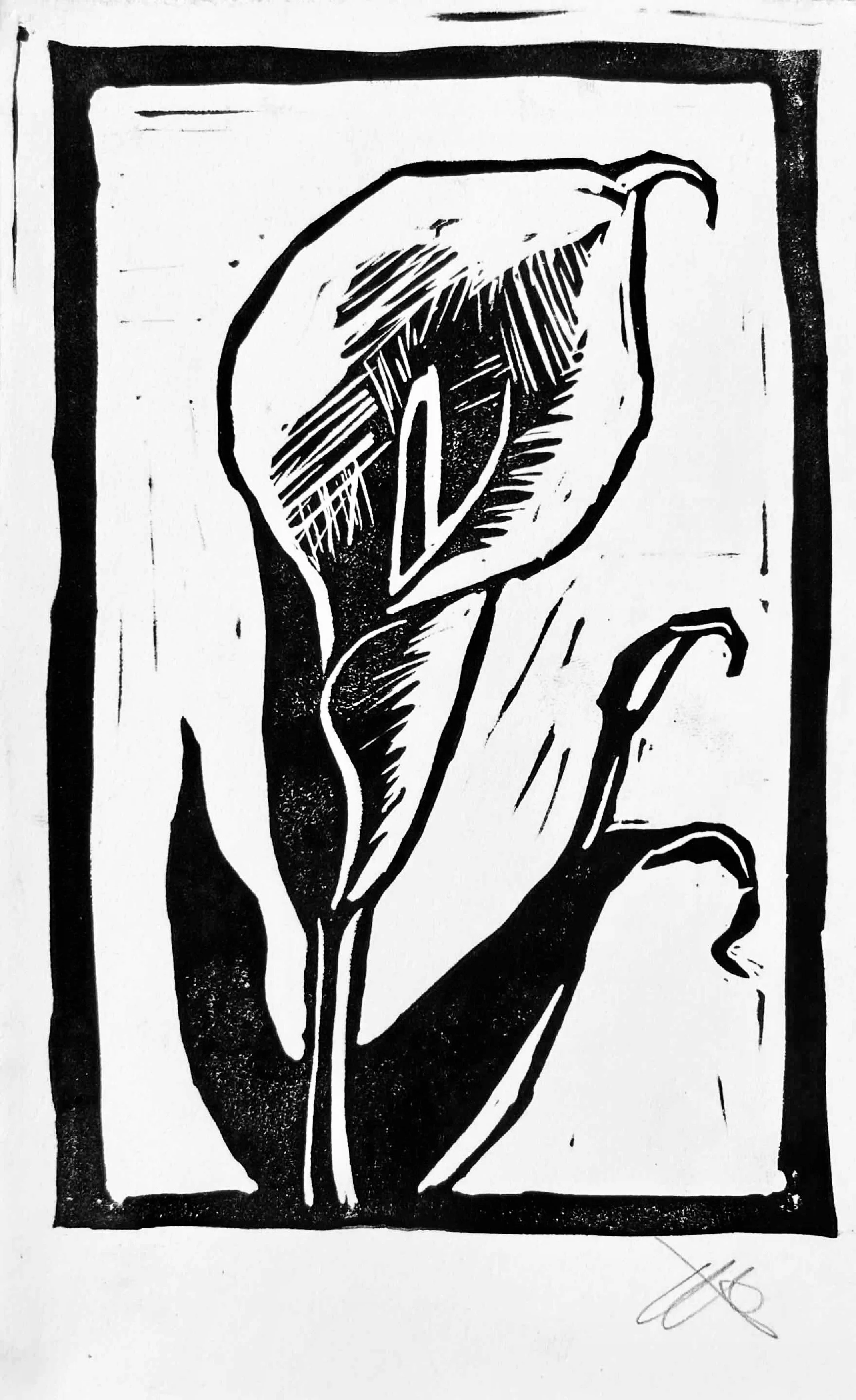 "Calla Lily" Block Print (5"x7")