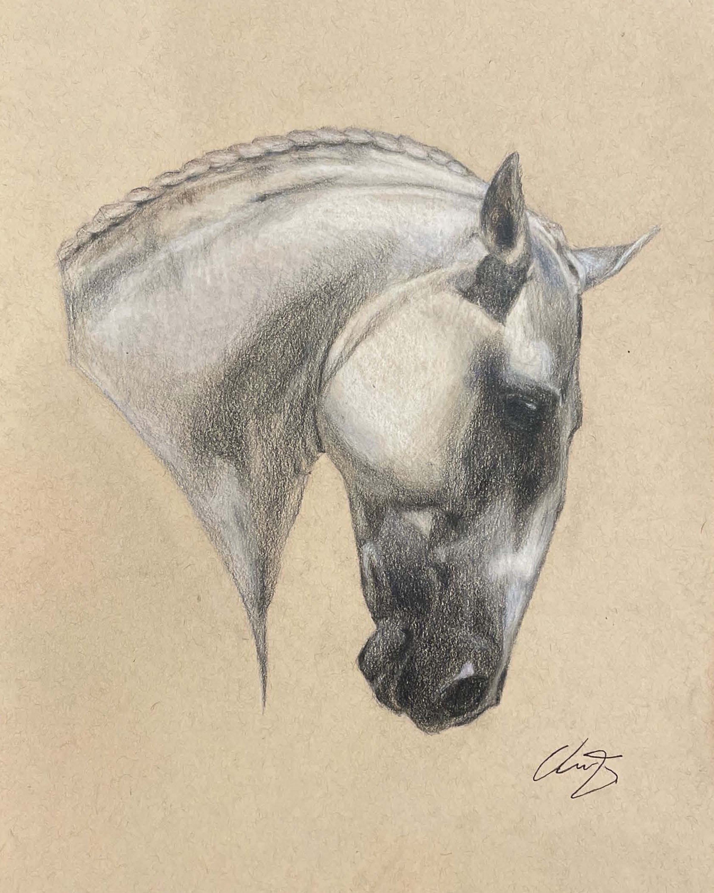 "Horse Head 2" Color Pencils on Paper (8"x10")