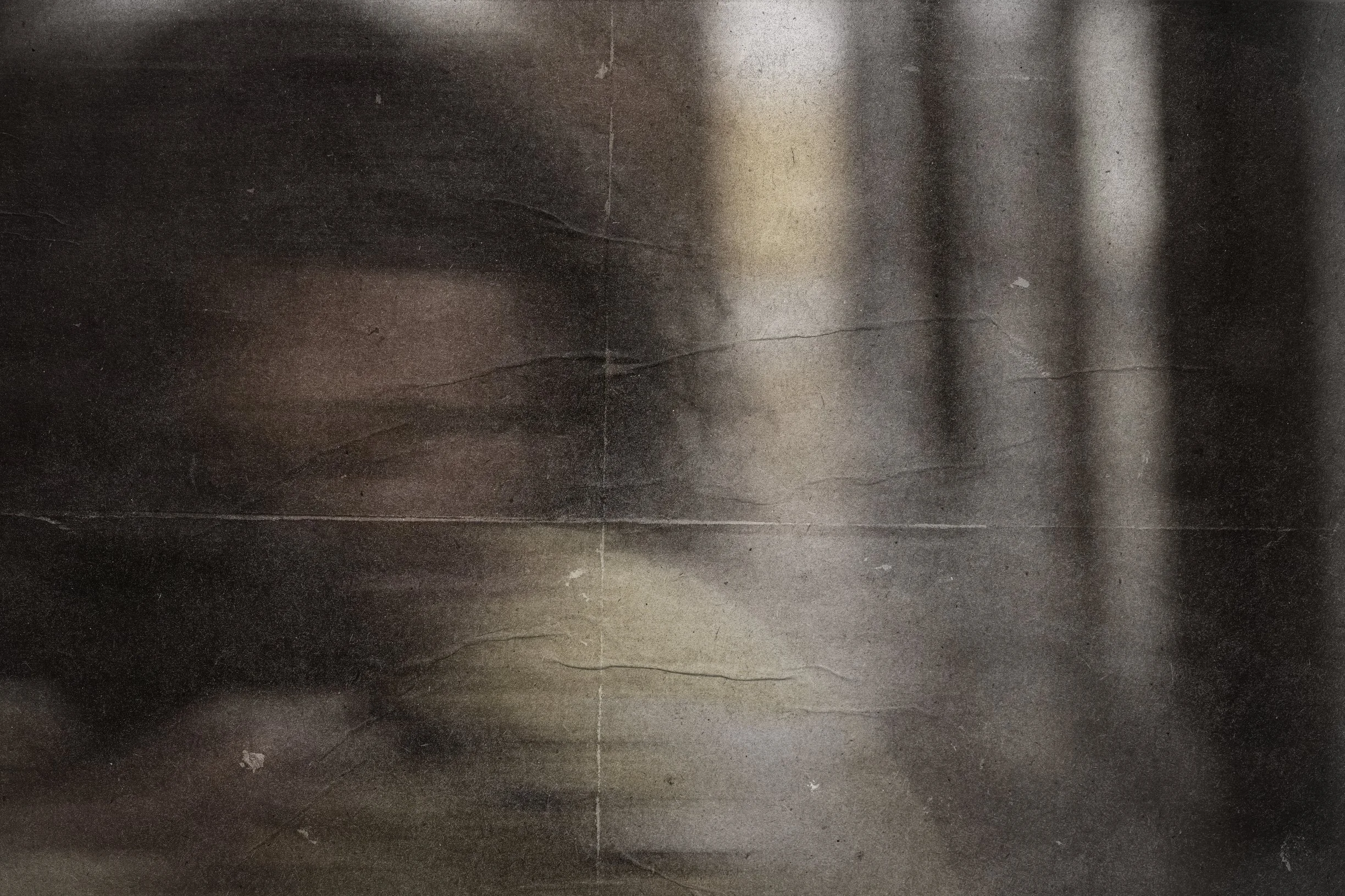 The Lies She Believed 