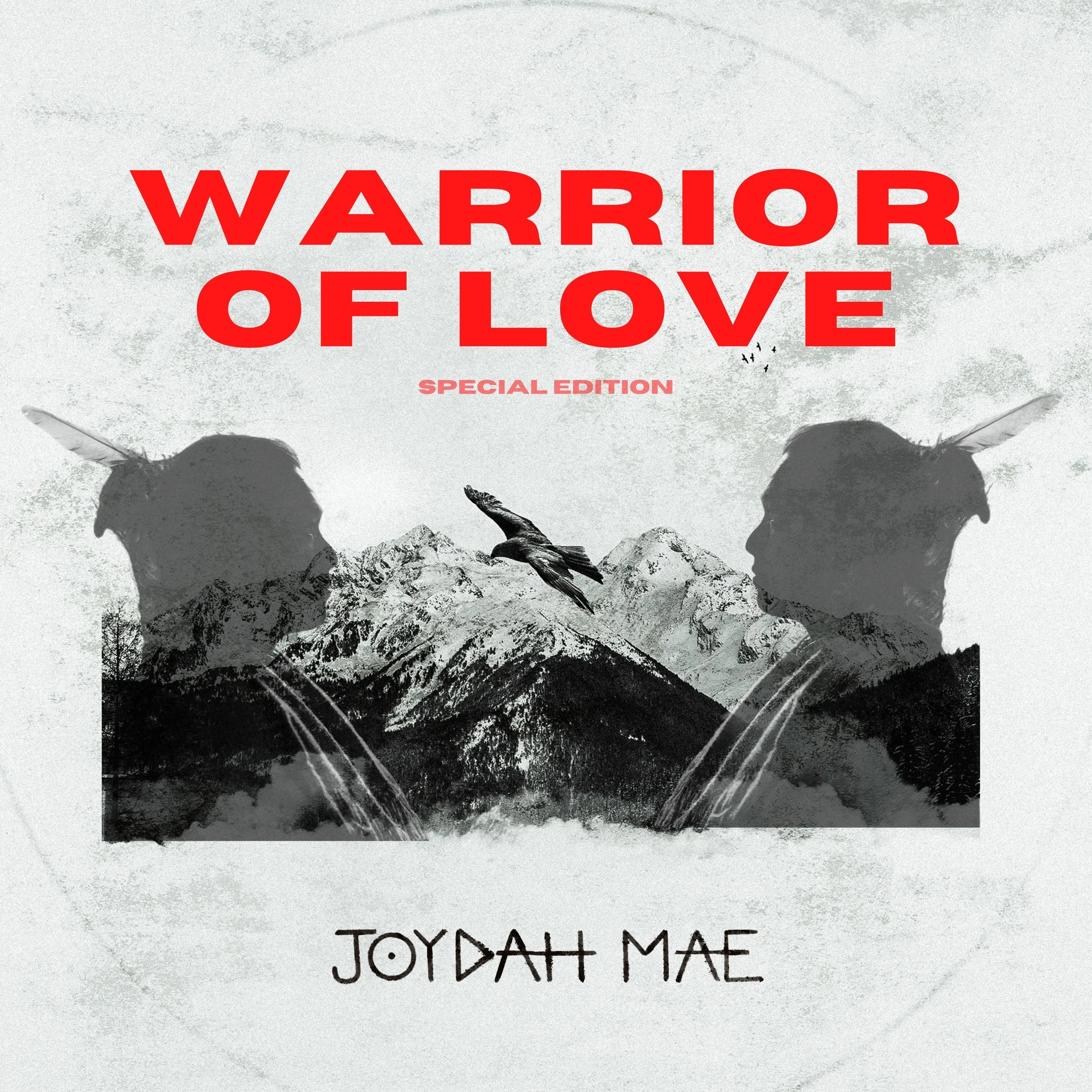 warrior of love .jpeg