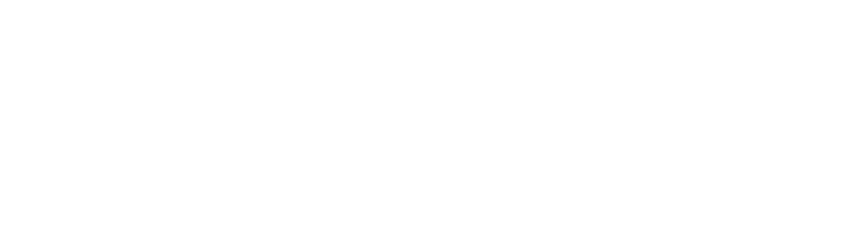 Next Level Electrical