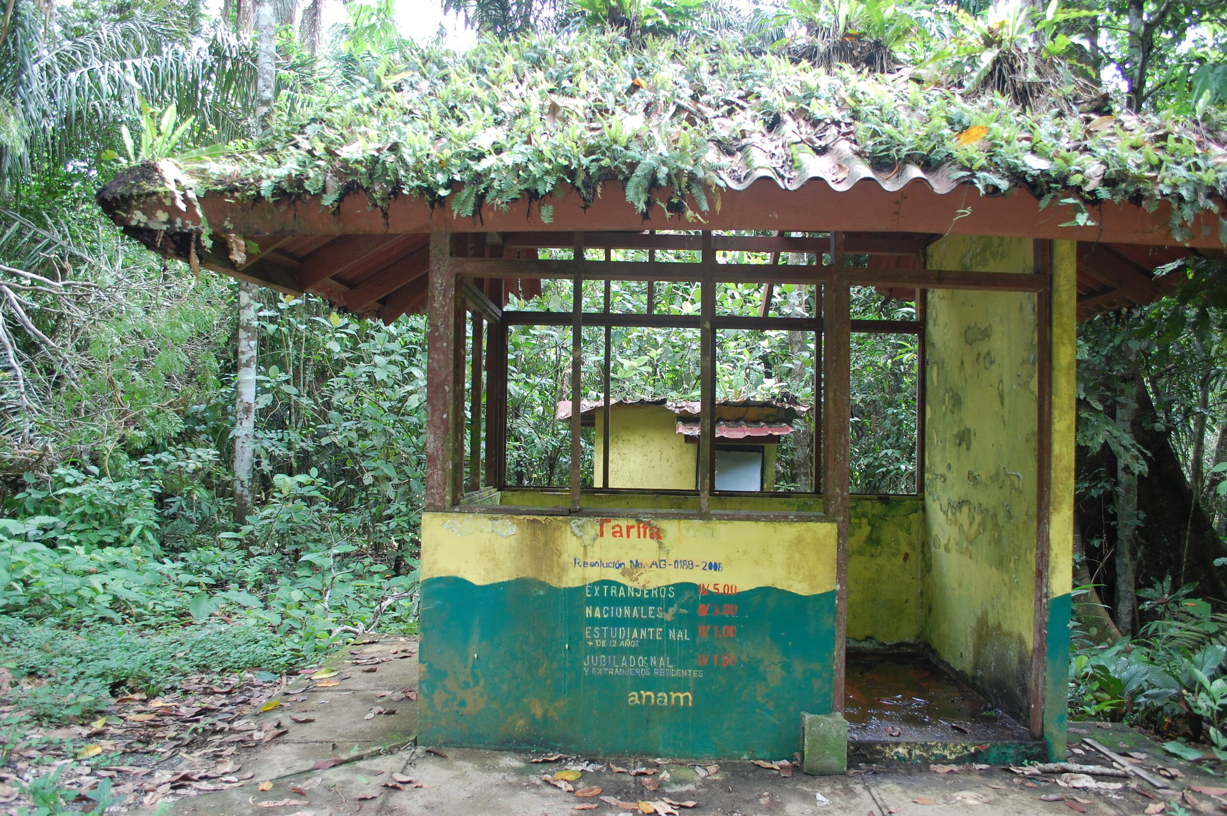 Rainforest Ticket Booth