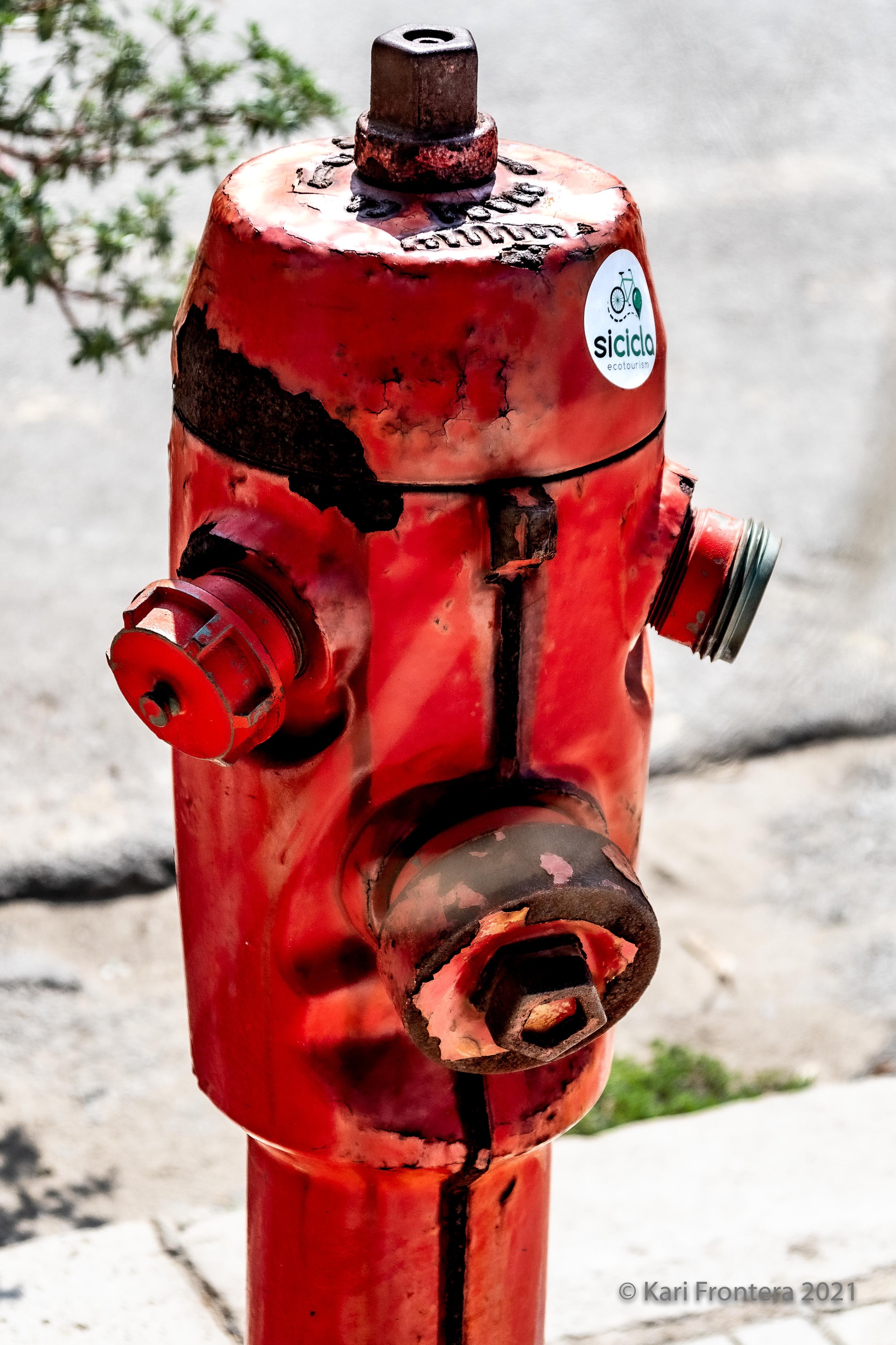 Red Hydrant