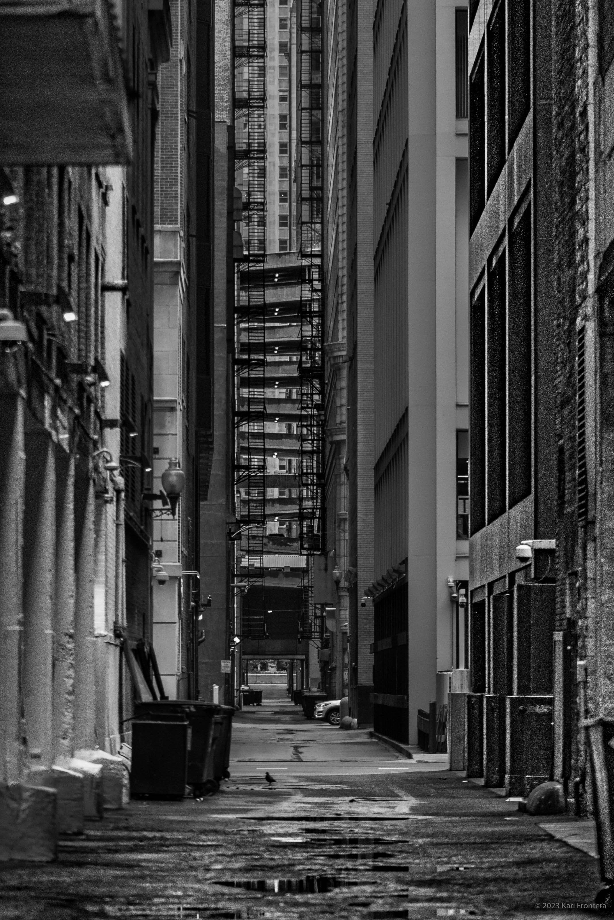 Chicago Alley