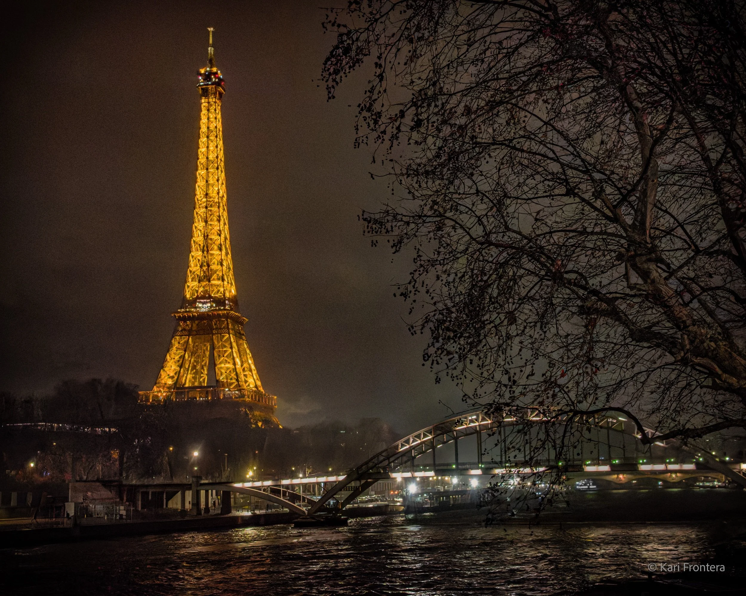 Eiffel Tower and the Passerelle Debilly Bridge