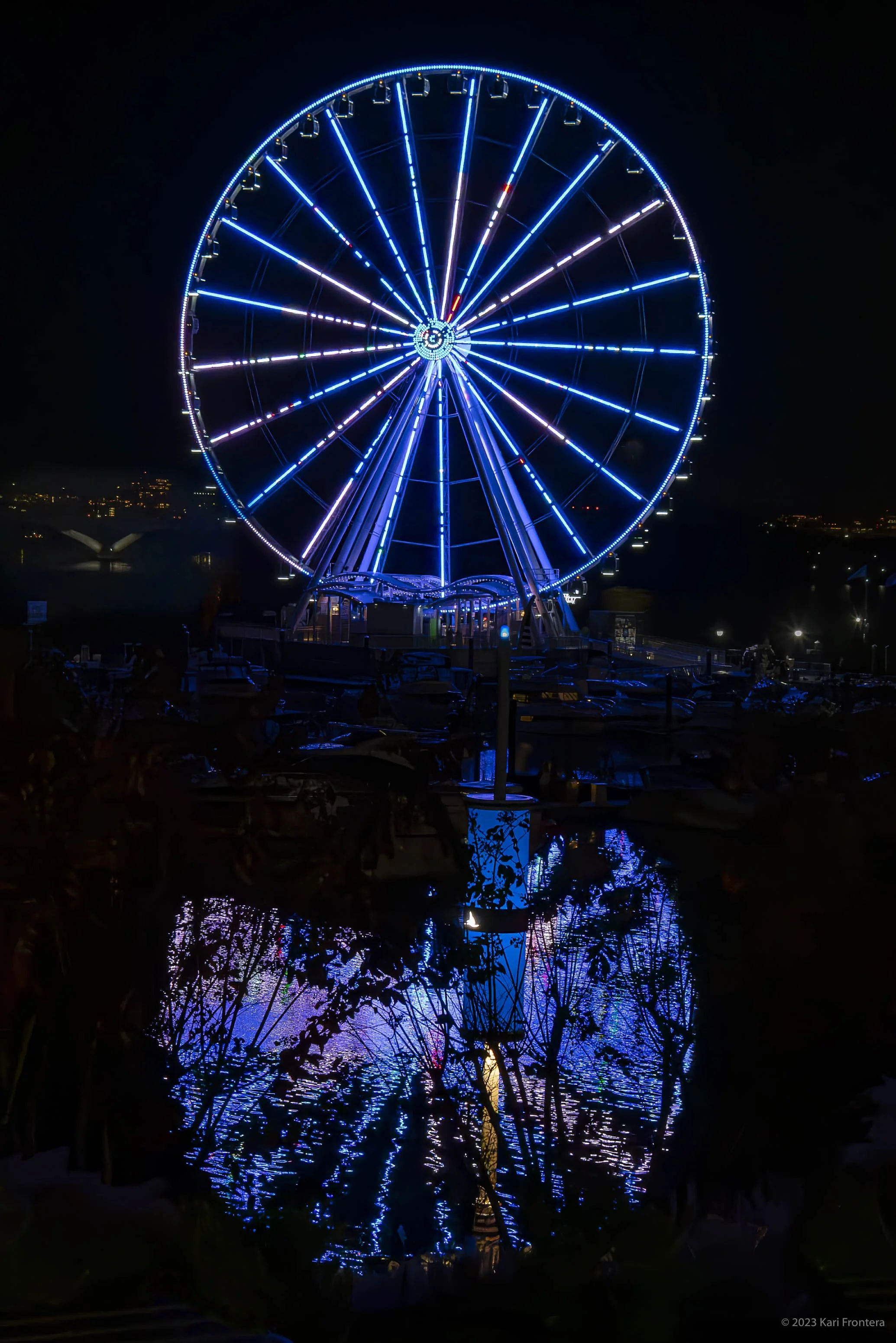 DSC_3033-Enhanced-NR.jpg