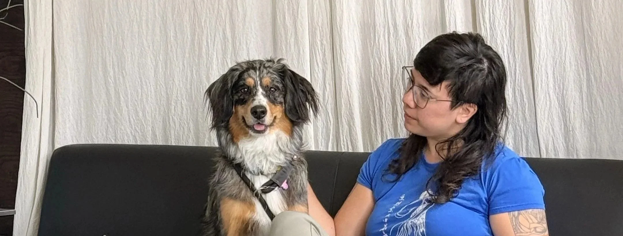 Wagging Tails Doggie Daycare and Boarding