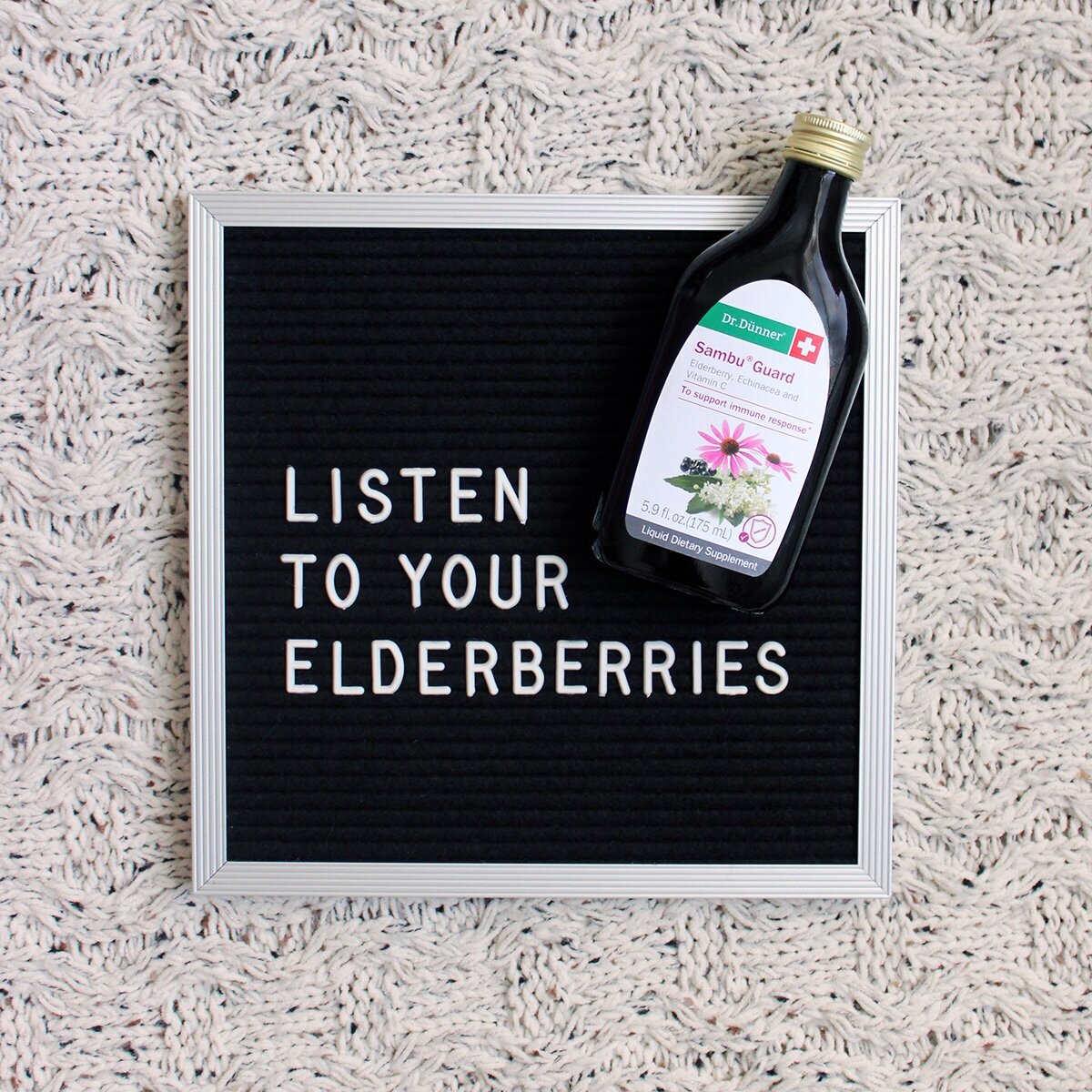 Elderberries.JPG