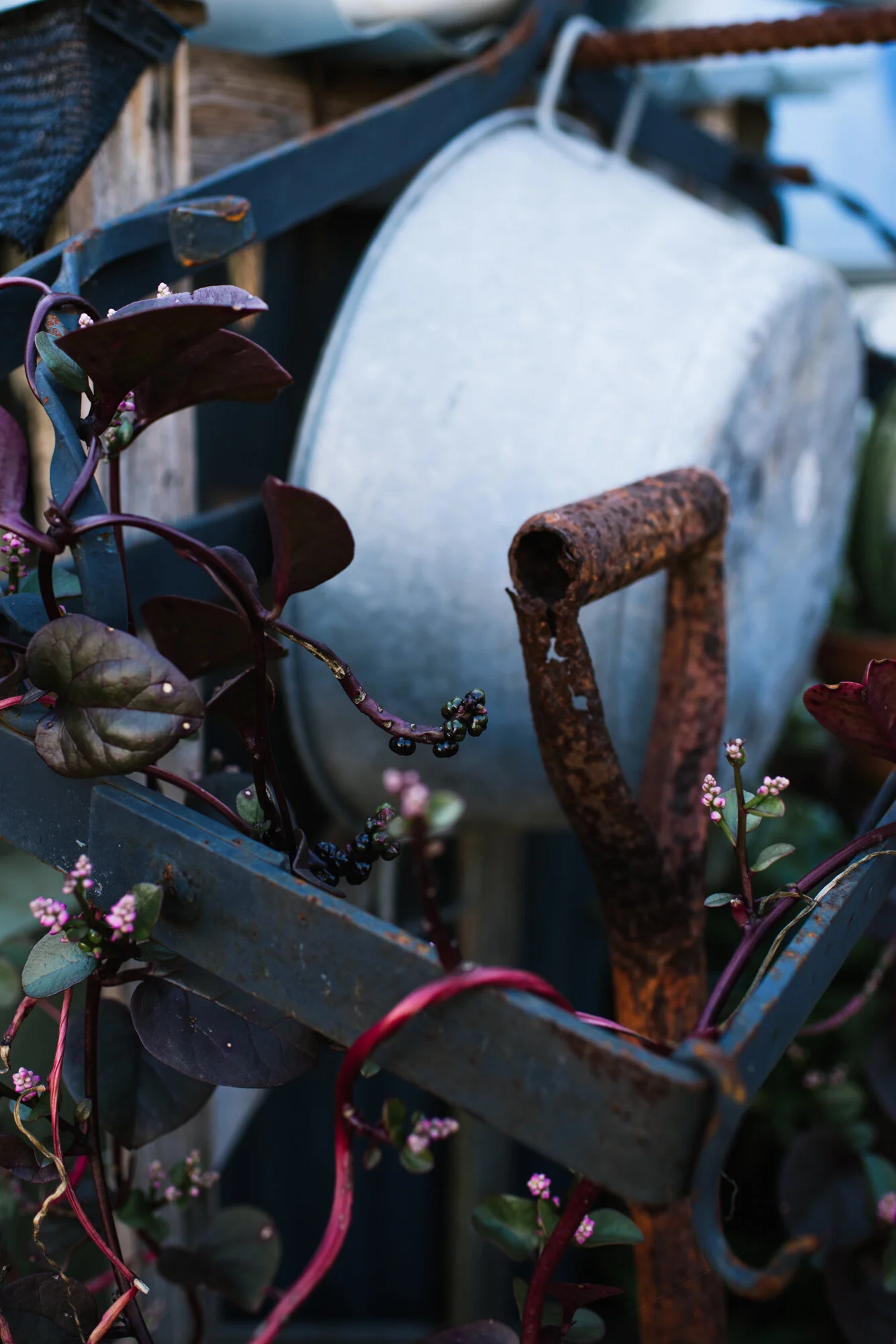 Vieille Branche - Menu-6856.jpg