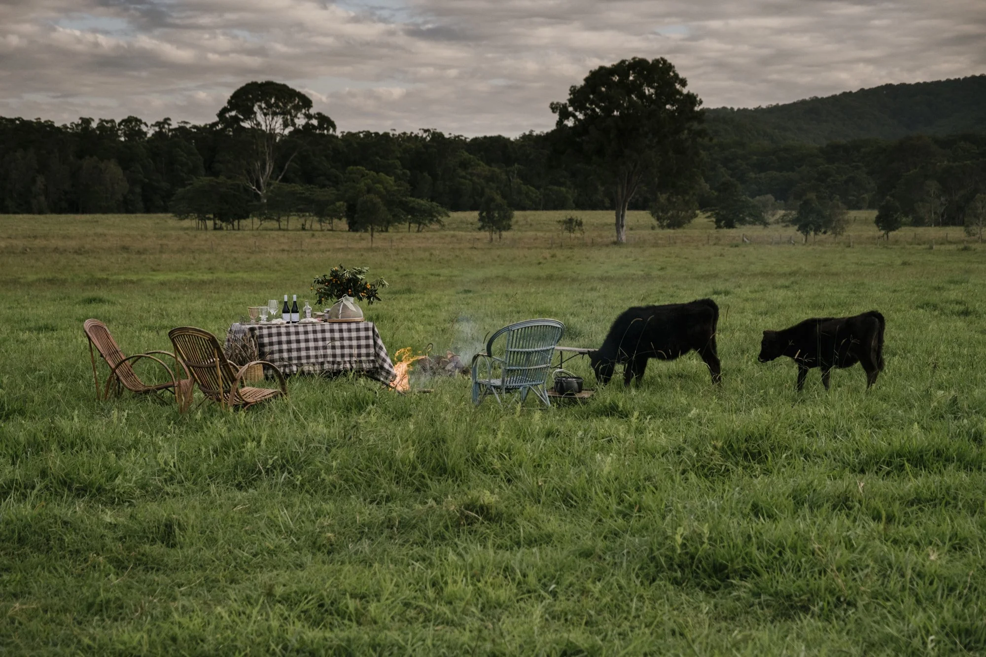 Jennifer-Hillhouse-Beach-Farm_LR-2673.jpg