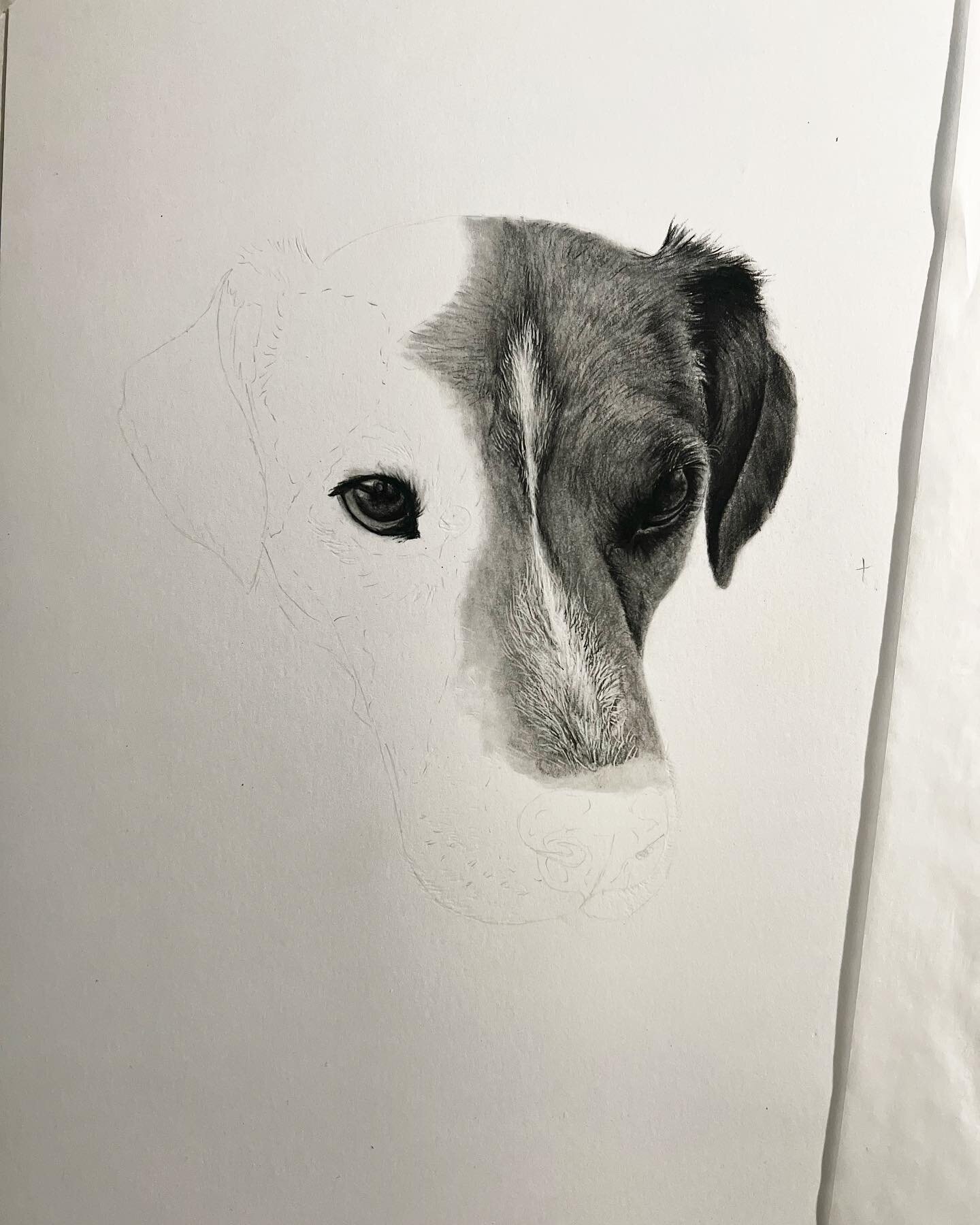 @suj.chainzzz 1 of 2 Pups loading&hellip;.
.
.
My books are OPEN for the holiday season! I am now taking commissions for WILDLIFE, PETS, and PEOPLE! Secure your spot before it&rsquo;s too late! I still have spots open for BEFORE CHRISTMAS DELIVERY!
.