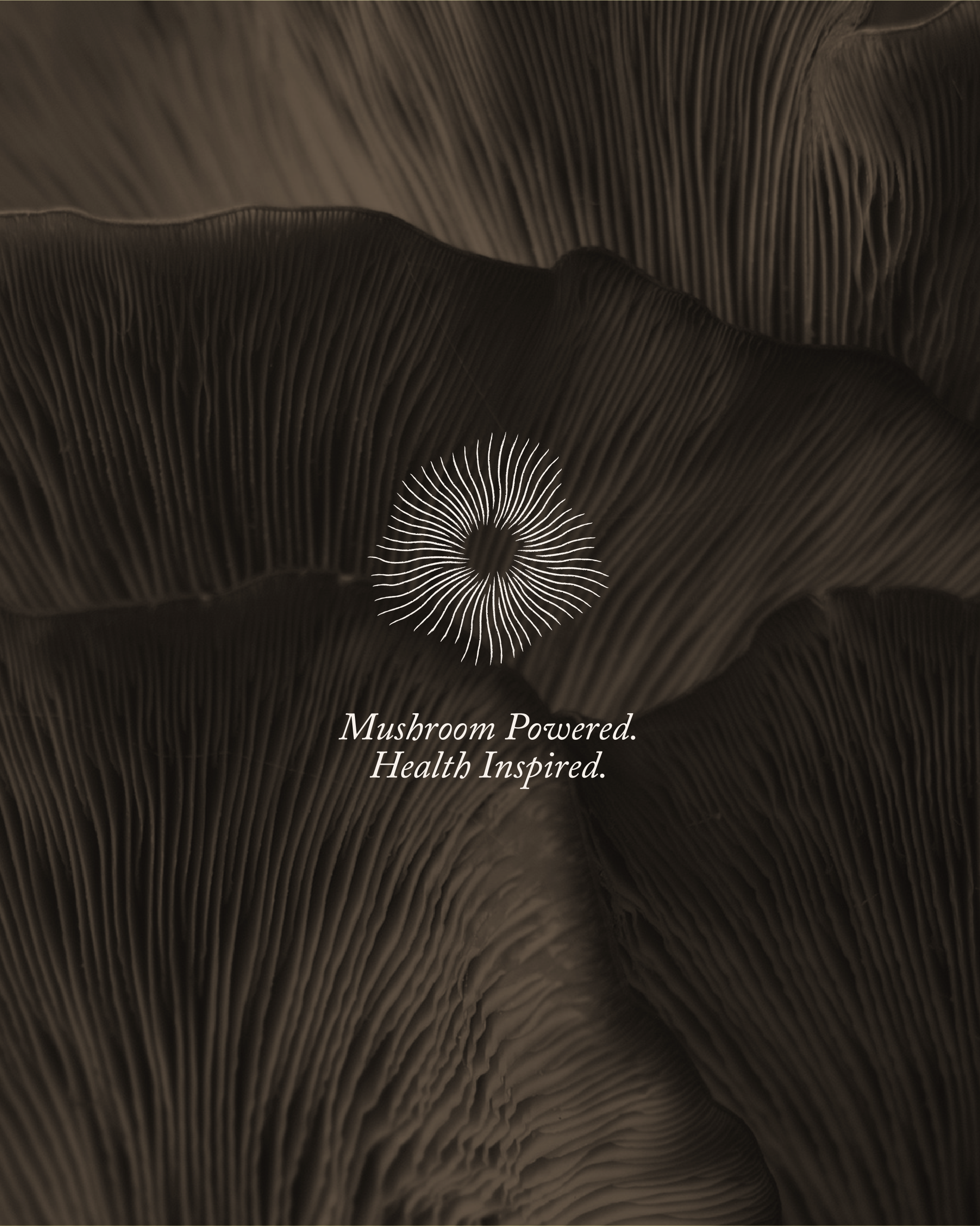 Close-up of dark brown mushroom gills with a white circular graphic and the text 'Mushroom Powered. Health Inspired.'
