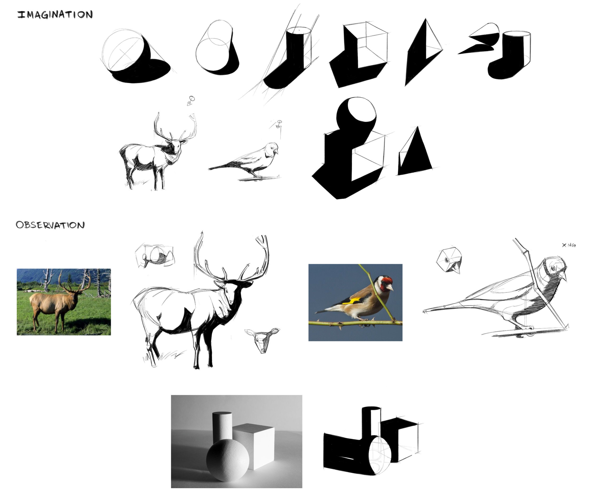 Sienna T (Drawing and Painting)