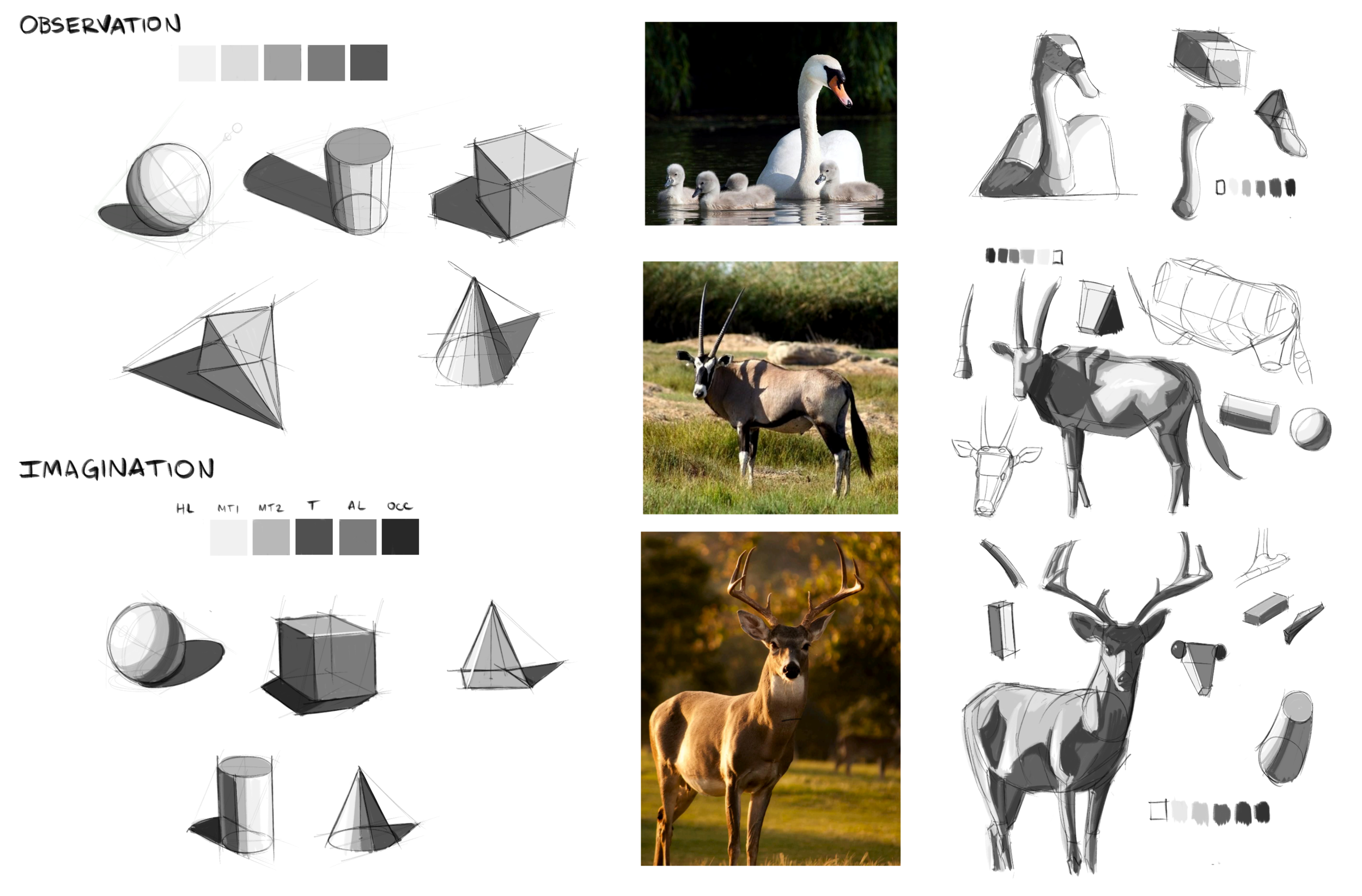 Sienna T (Drawing and Painting)