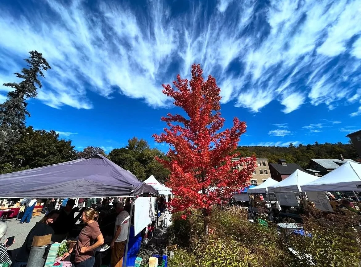 See you tomorrow, Montpelier! 
9am-1pm, 133 State Street

#montpeliervt #farmersmarketsareessential #knowyourfarmers #vermontbyvermonters #capitalcity