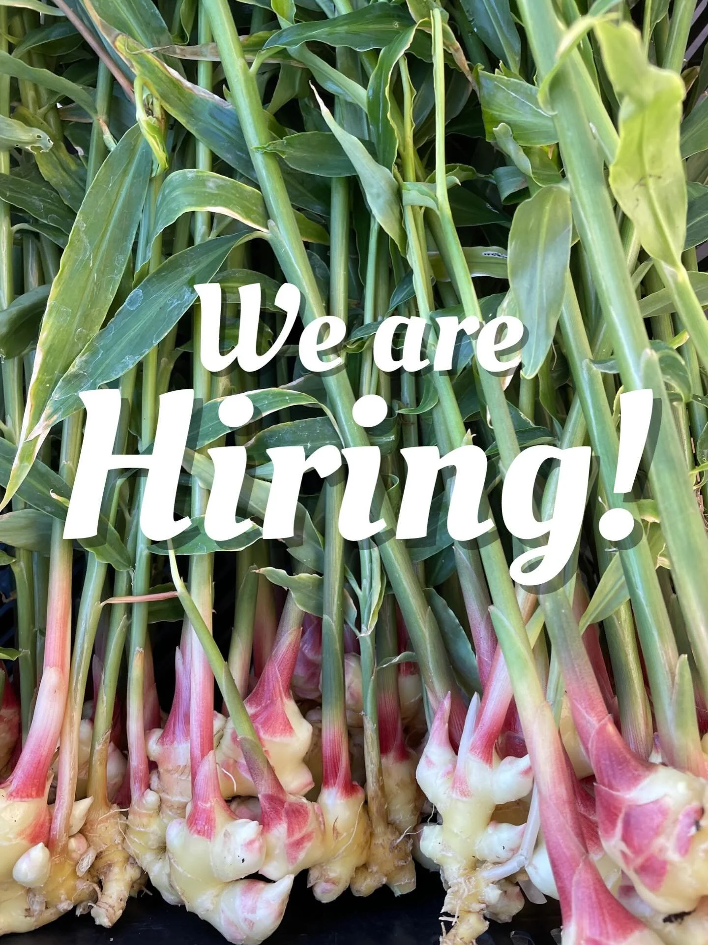 CCFM is hiring! The CCFM Board of Directors is now accepting applicants for the position of Market Manager. 

We are looking for creative applicants who are passionate about their community, local agriculture, supporting small businesses and leading 