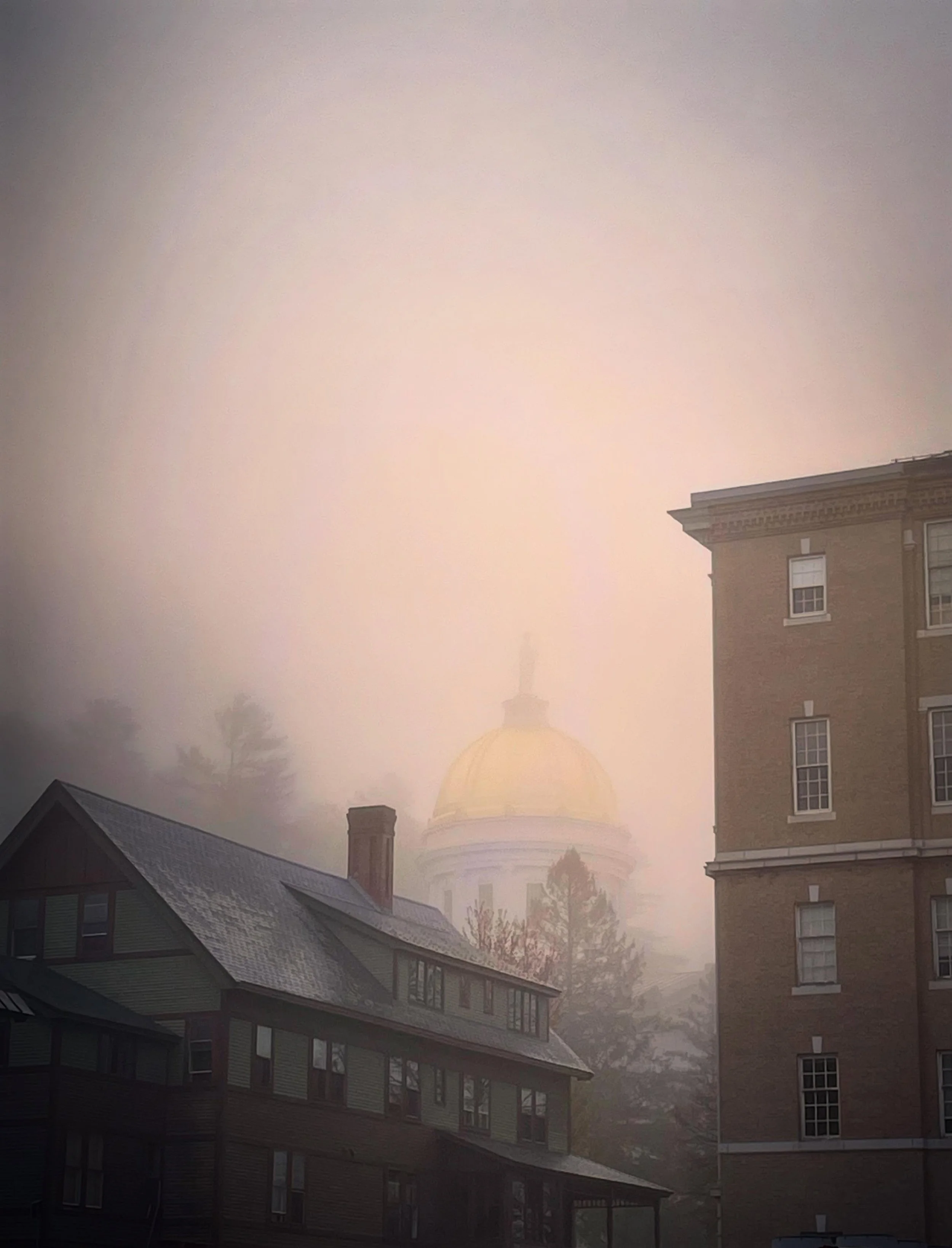 Gratitude Post- To the State of Vermont for allowing us to hold our beloved market at 133 State Street: thank you 🙏 

During market hours, this space transforms into an engine of mutual prosperity and dynamic relationship. To have an accessible home