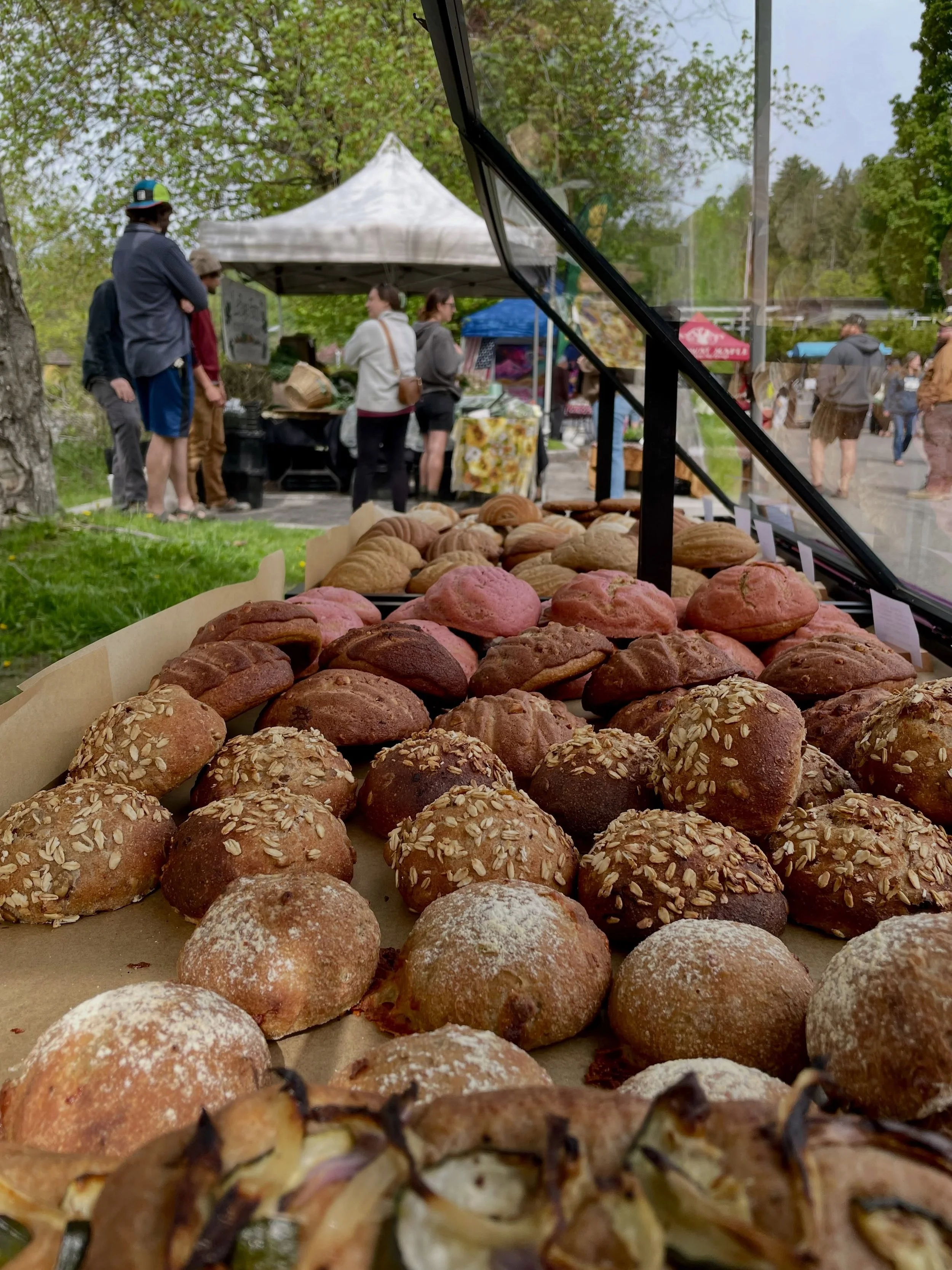 You&rsquo;re almost out of time! Did you make it to the market today?

These beautiful creations come from:

@atlasconchas 
@lazy_lady_farm 
@green_twig_farm 
@potterybyelmira and
@lepagefarm 

Be here next time! ❤️
