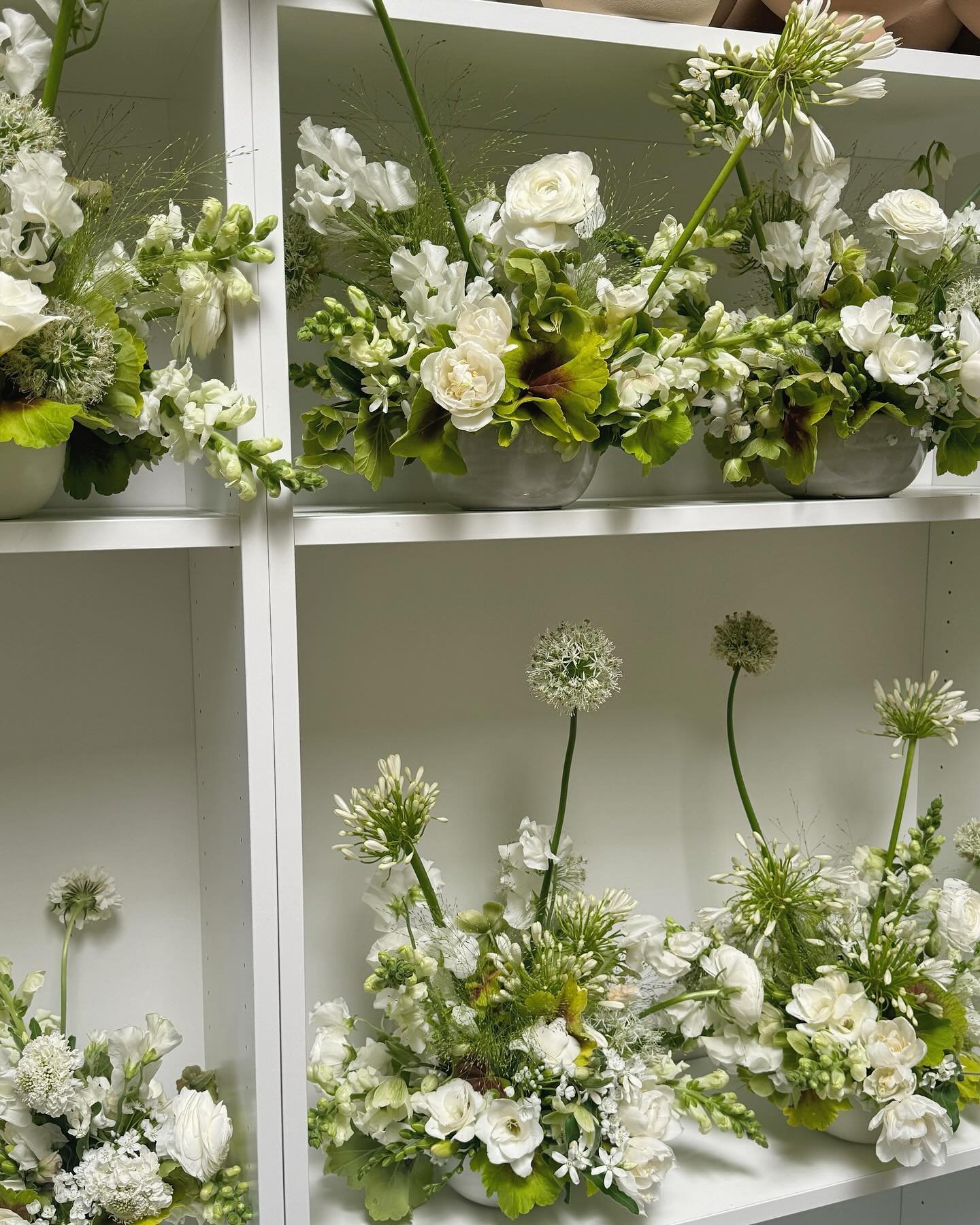 Our shelfies of the week 🌿🪻🤍🤳🏾✨

#losangelesflorist #flowerphotography #floralinspiration #flowerlovers