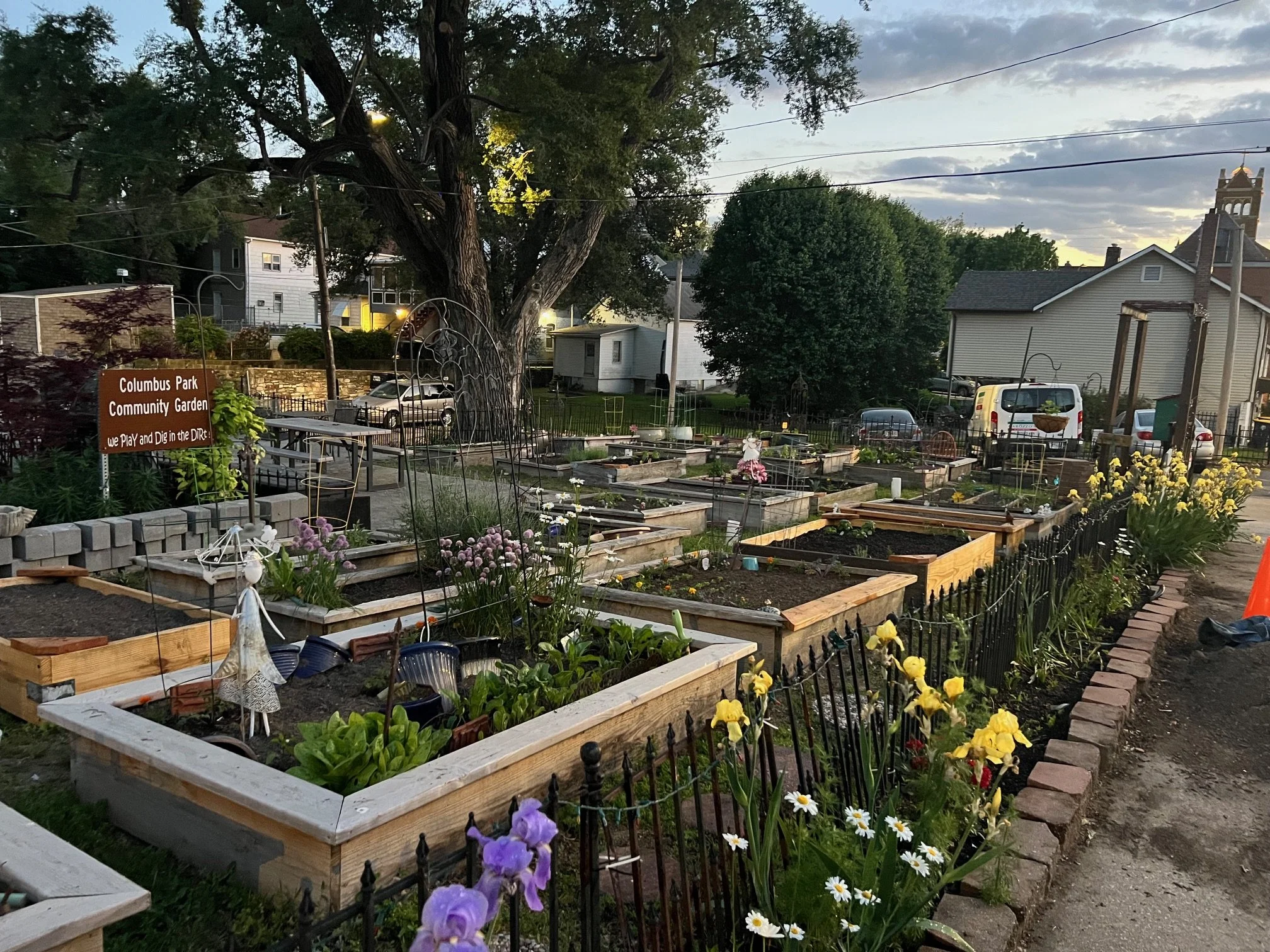 Garden Overview 1.jpeg