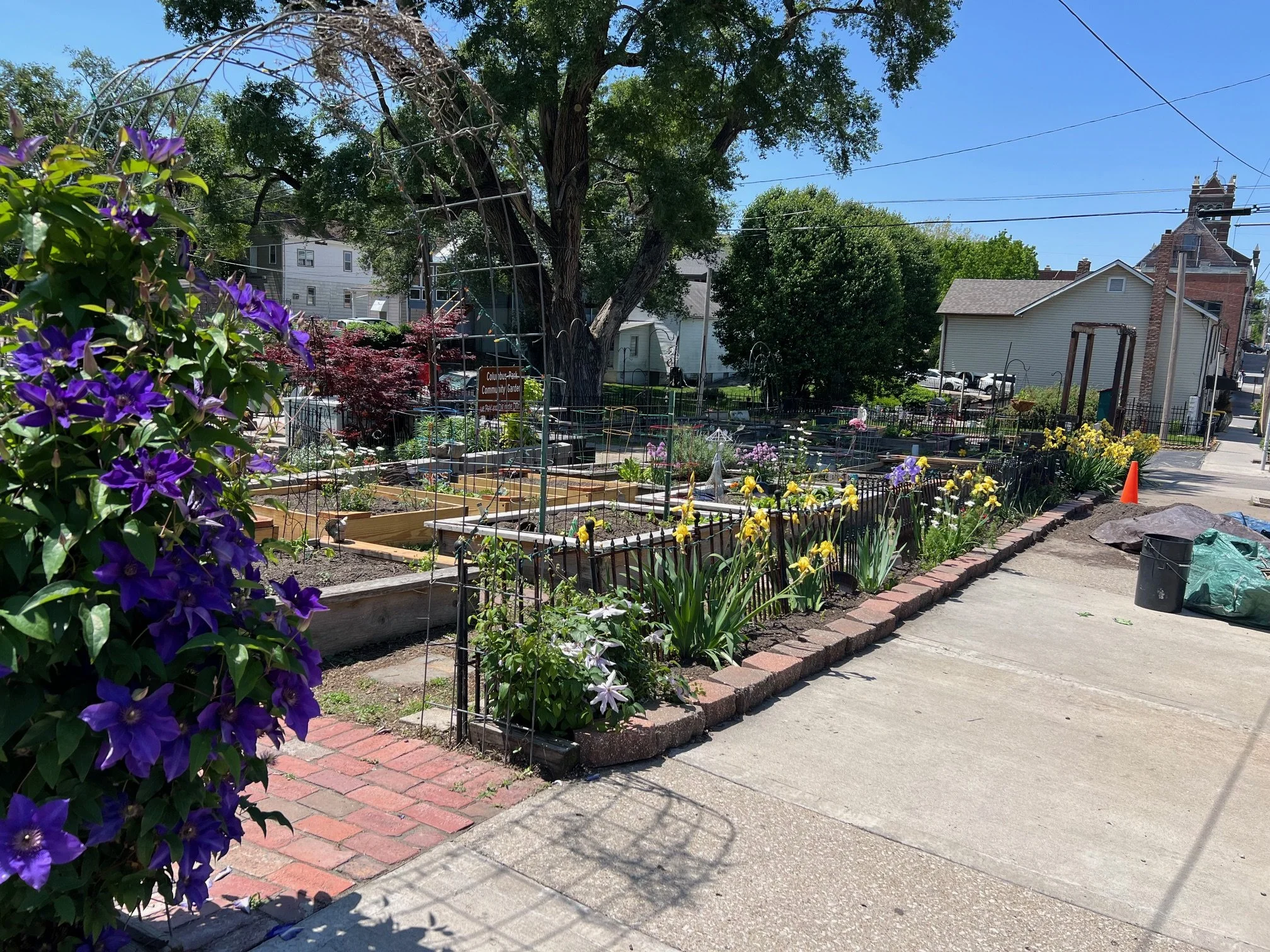 Garden Overview 2.jpeg