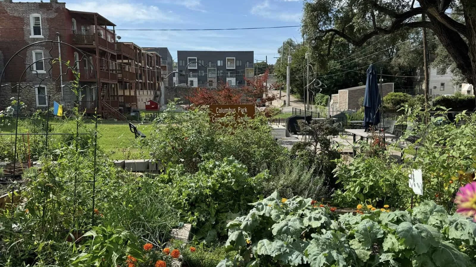 Northeast News features NRF grantee Blooms and Brooms impact