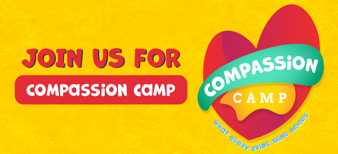 Bright yellow background with red and green text inviting to join Compassion Camp, featuring a heart-shaped graphic with the words "Compassion Camp" and a slogan that says, "What every living thing needs."